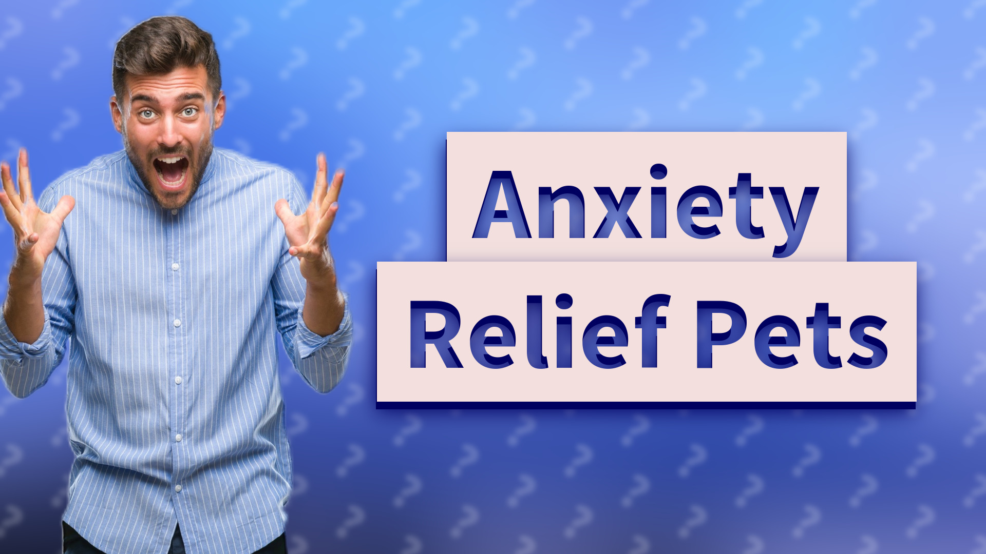 Anxiety Relief Pets