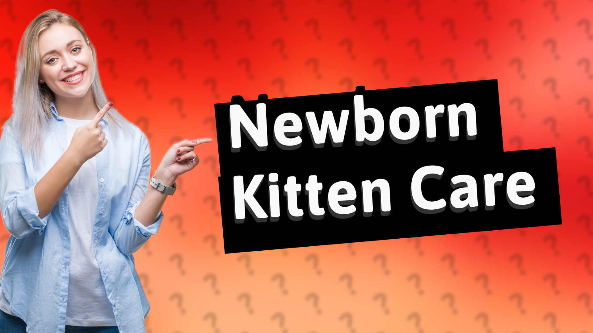 Newborn Kitten Care