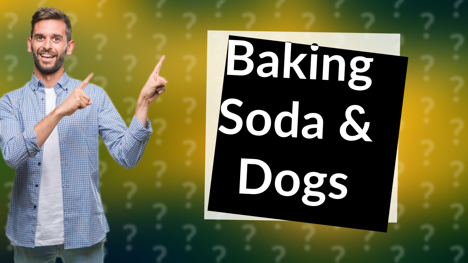 Baking Soda & Dogs