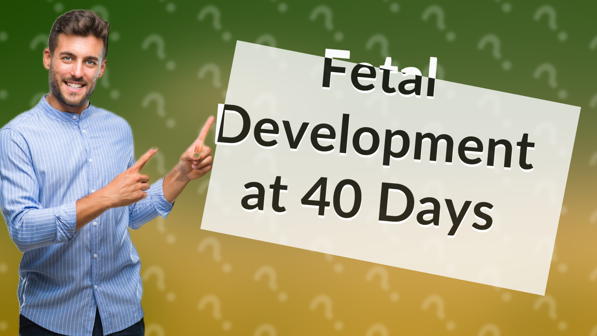 Fetal Development at 40 Days