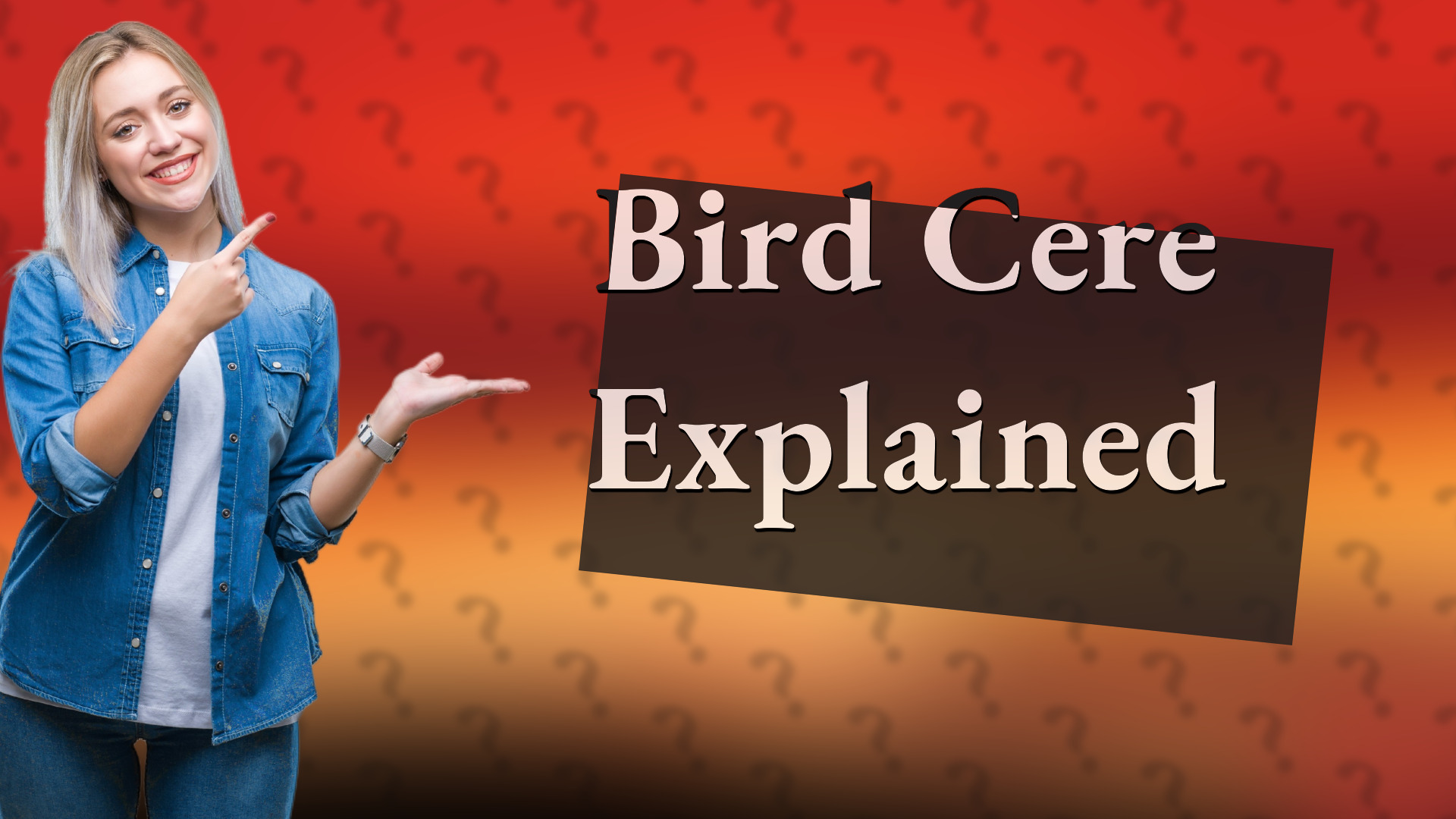 Bird Cere Explained