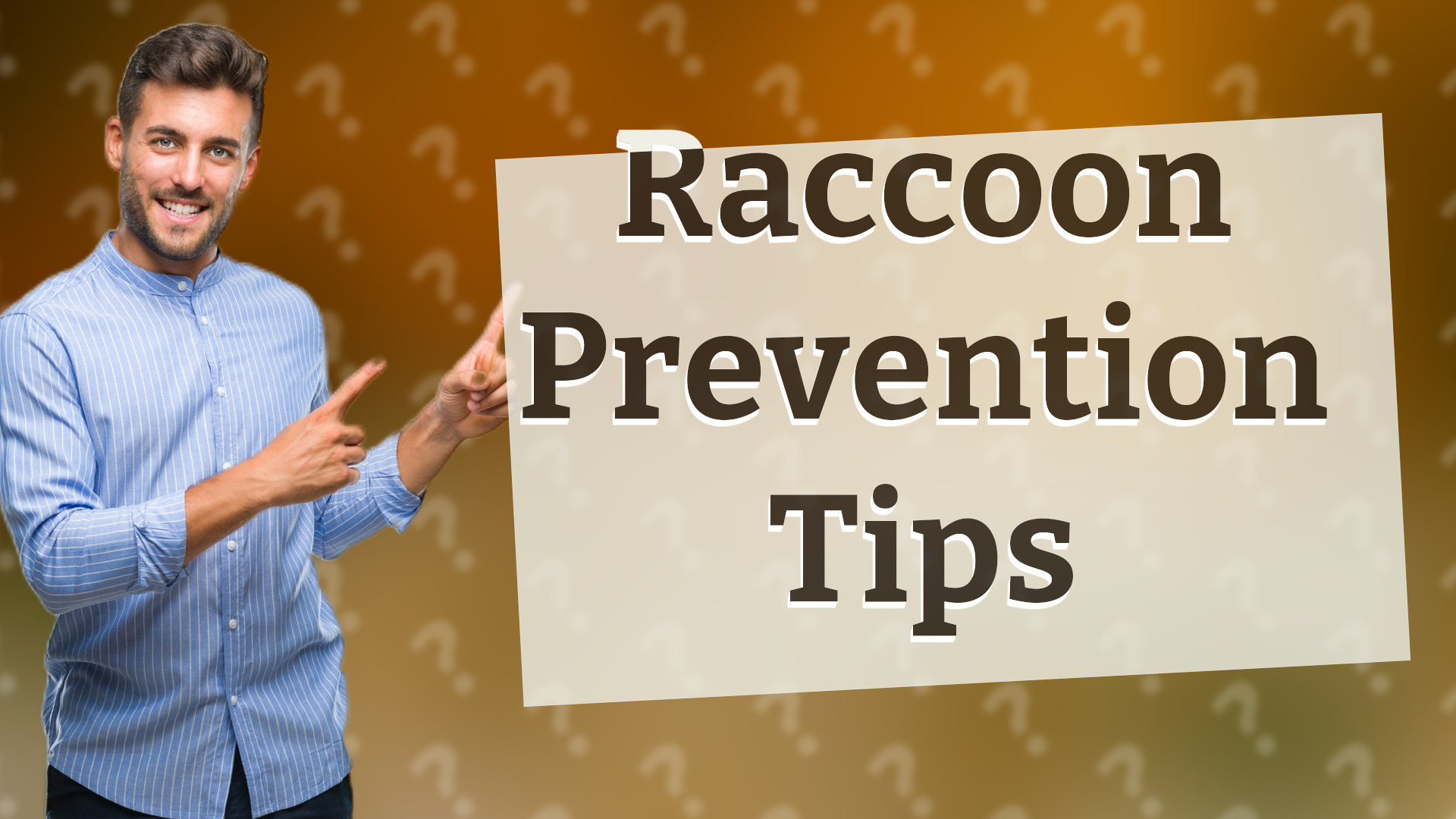 Raccoon Prevention Tips