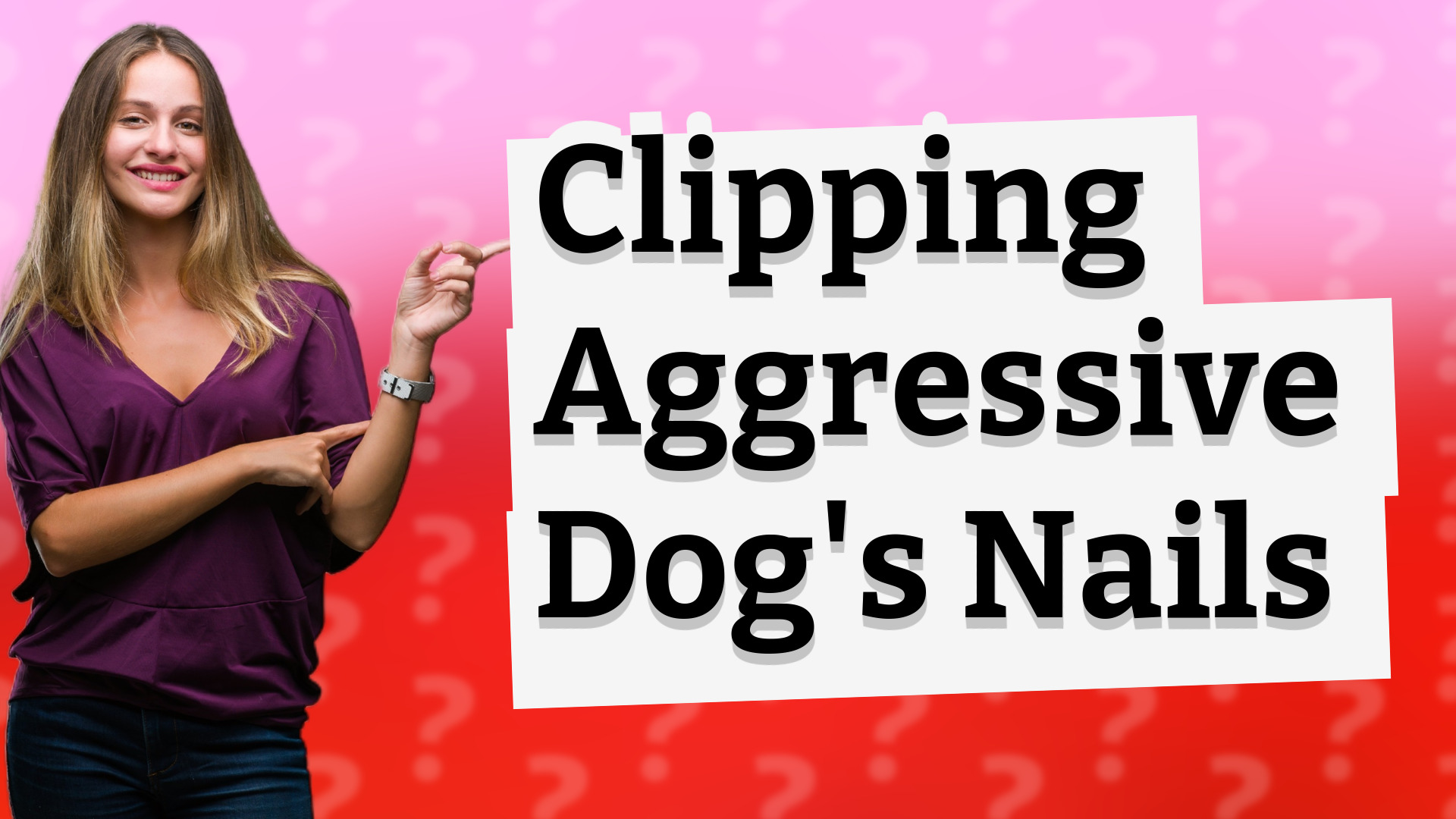 Clipping Aggressive Dog's Nails