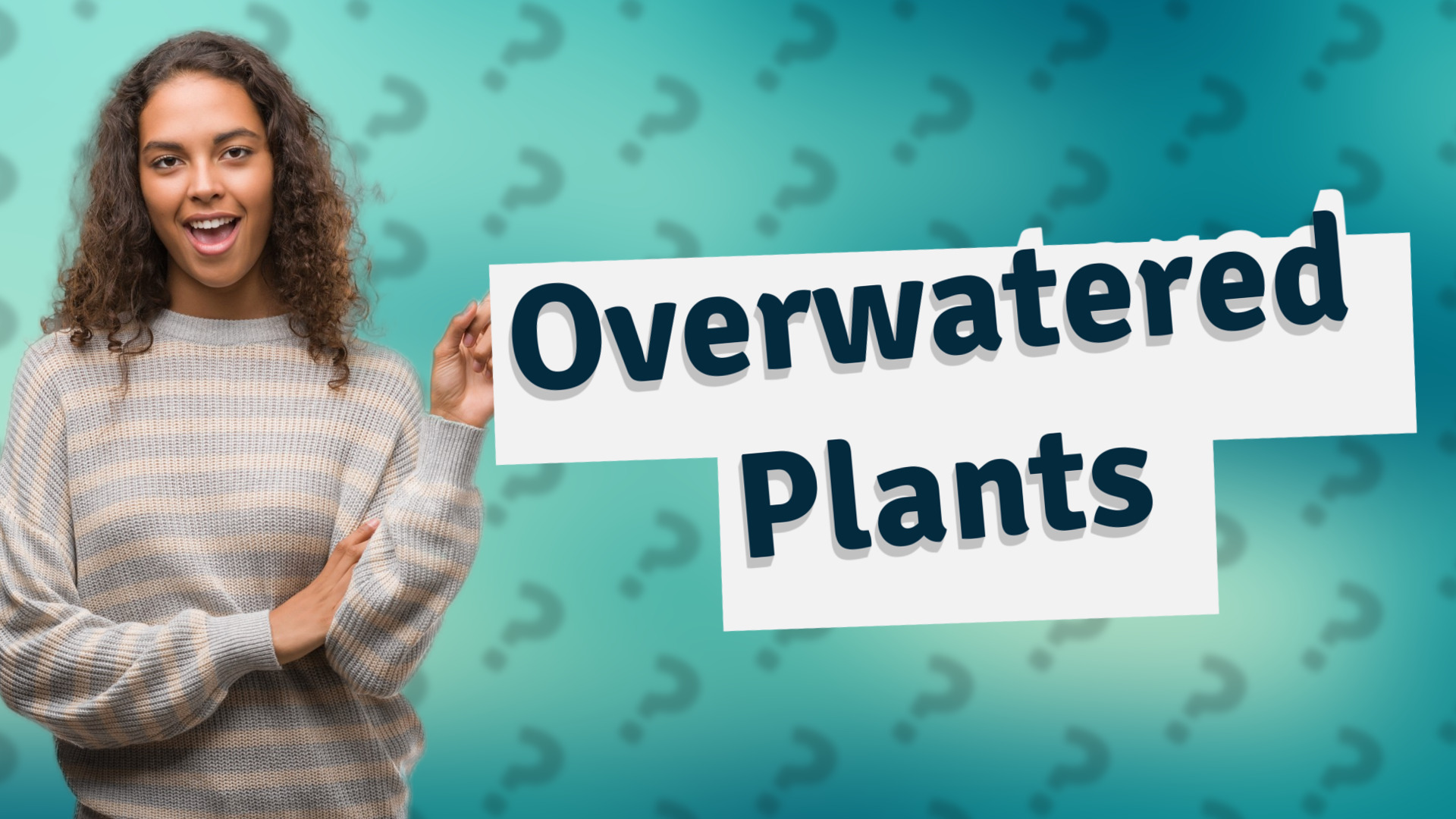 Overwatered Plants