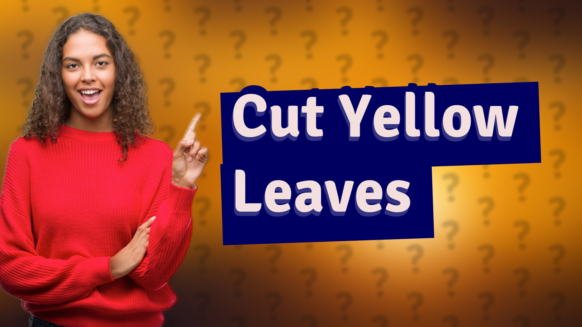 Cut Yellow Leaves