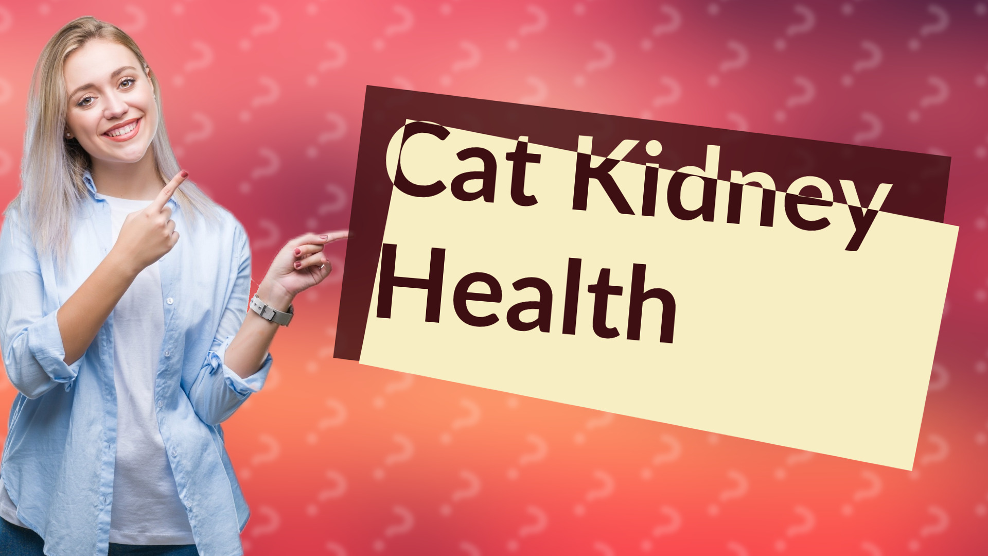 Cat Kidney Health