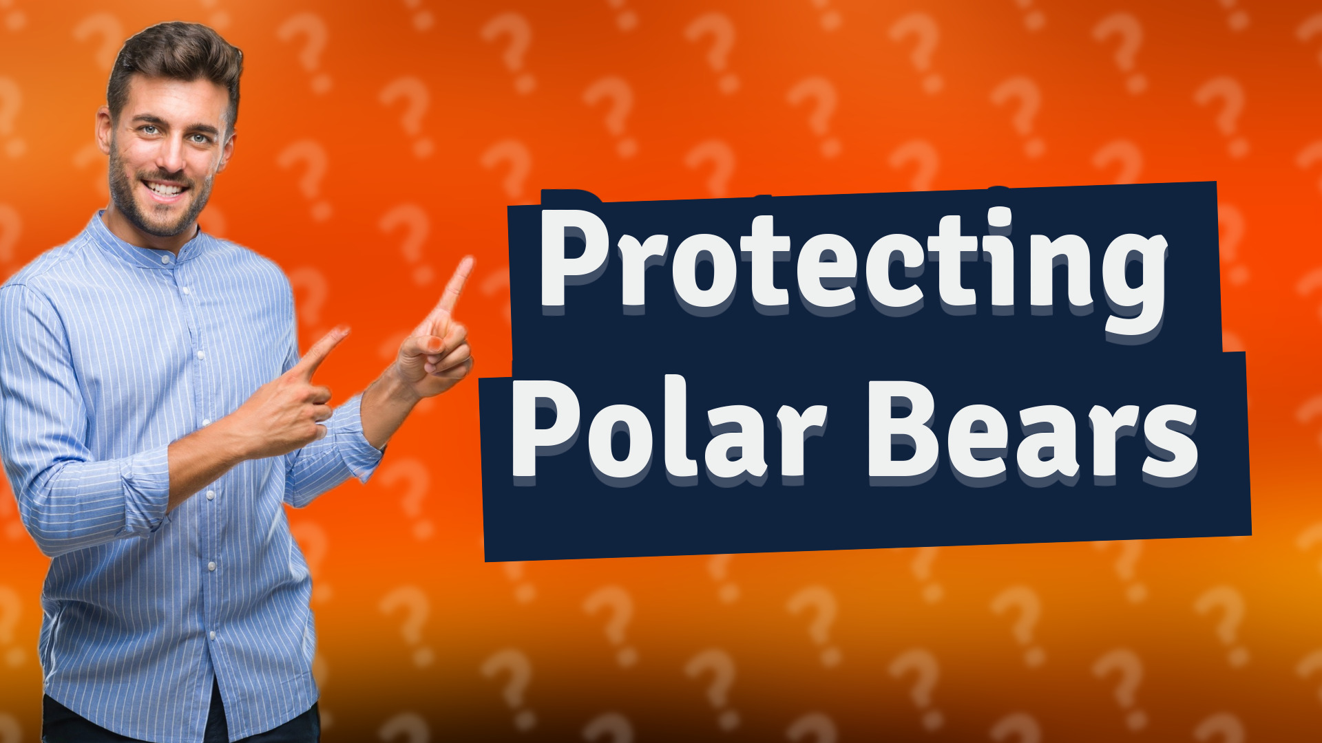 Protecting Polar Bears
