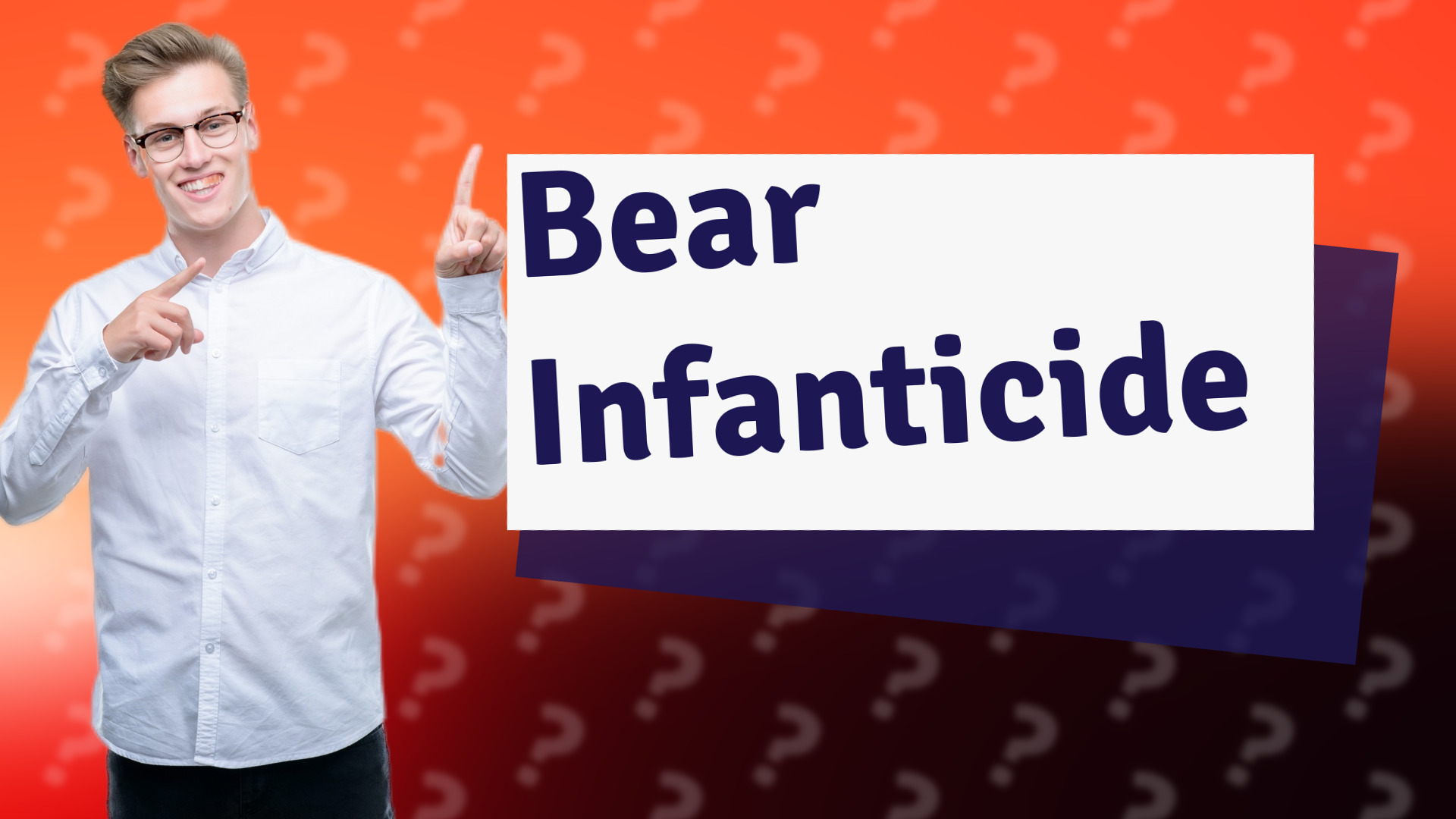 Bear Infanticide