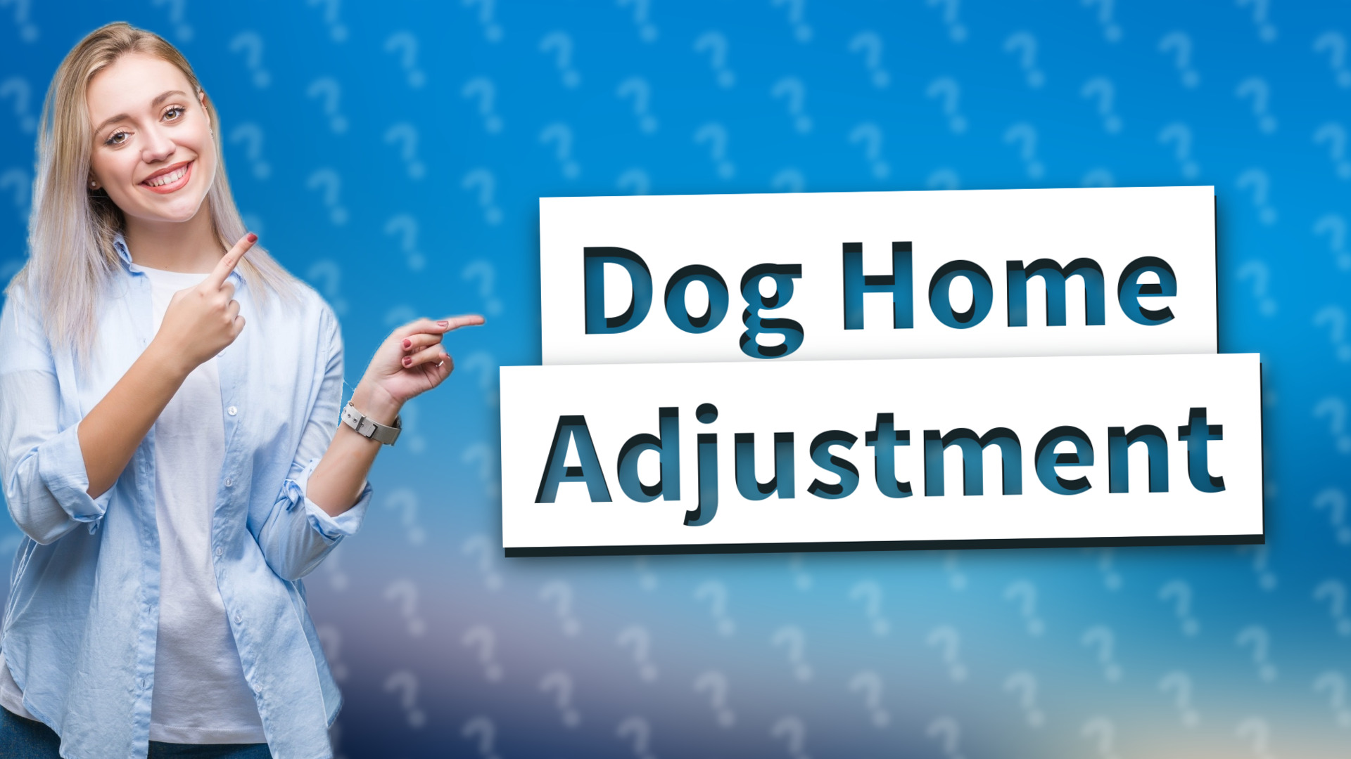 Dog Home Adjustment