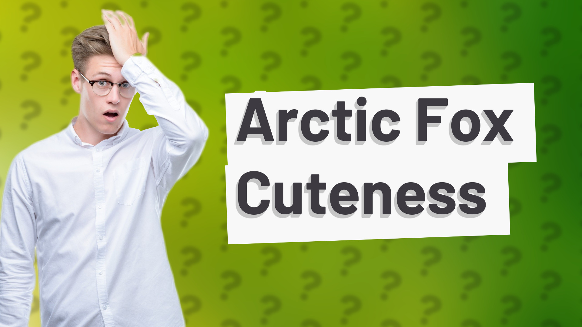 Arctic Fox Cuteness