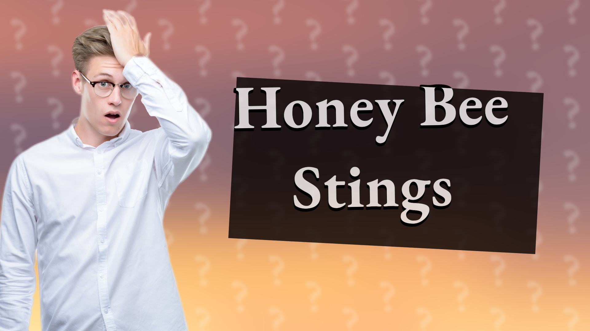Honey Bee Stings