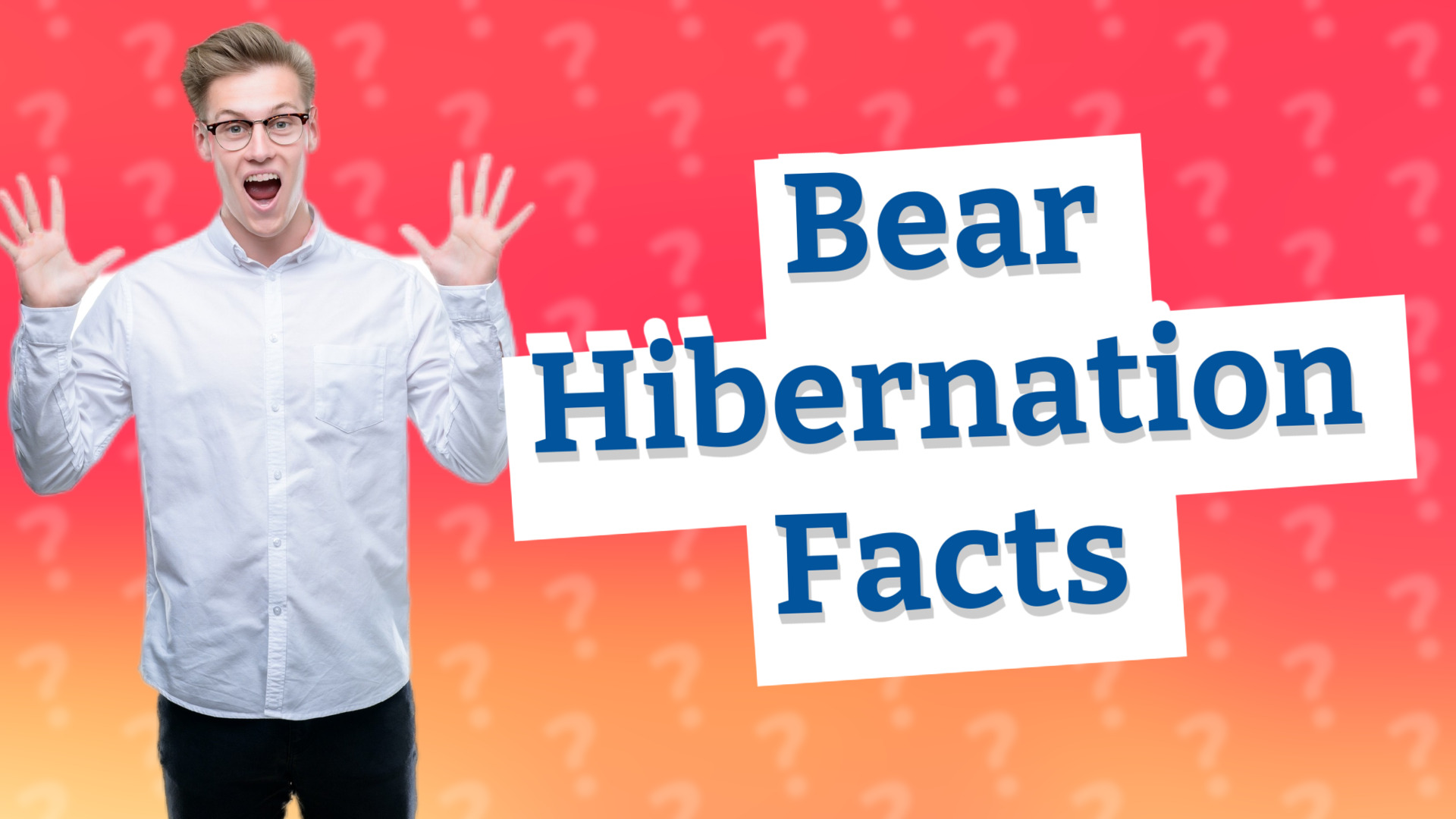 Bear Hibernation Facts