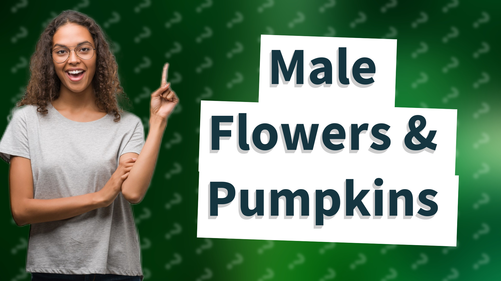Male Flowers & Pumpkins