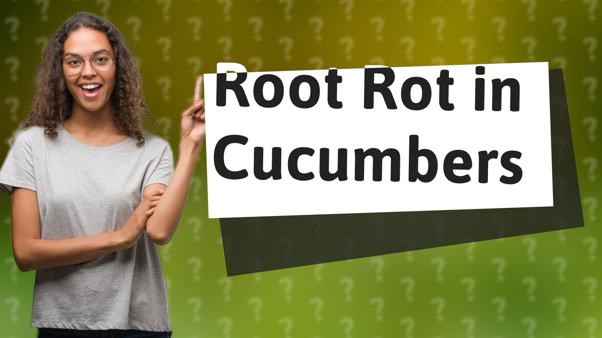 Root Rot in Cucumbers