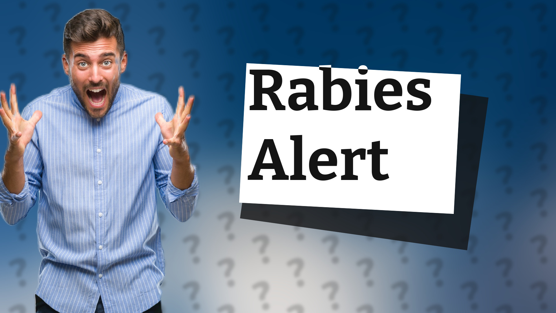 Rabies Alert