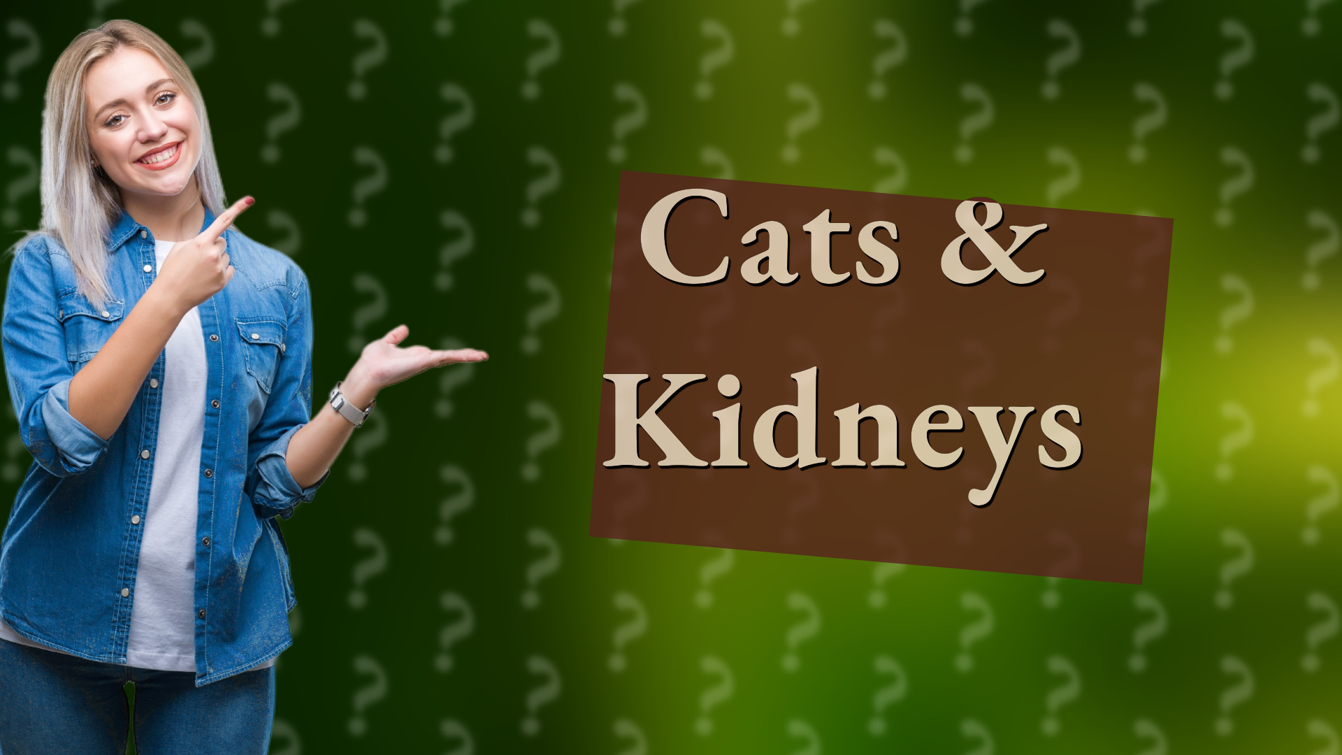 Cats & Kidneys