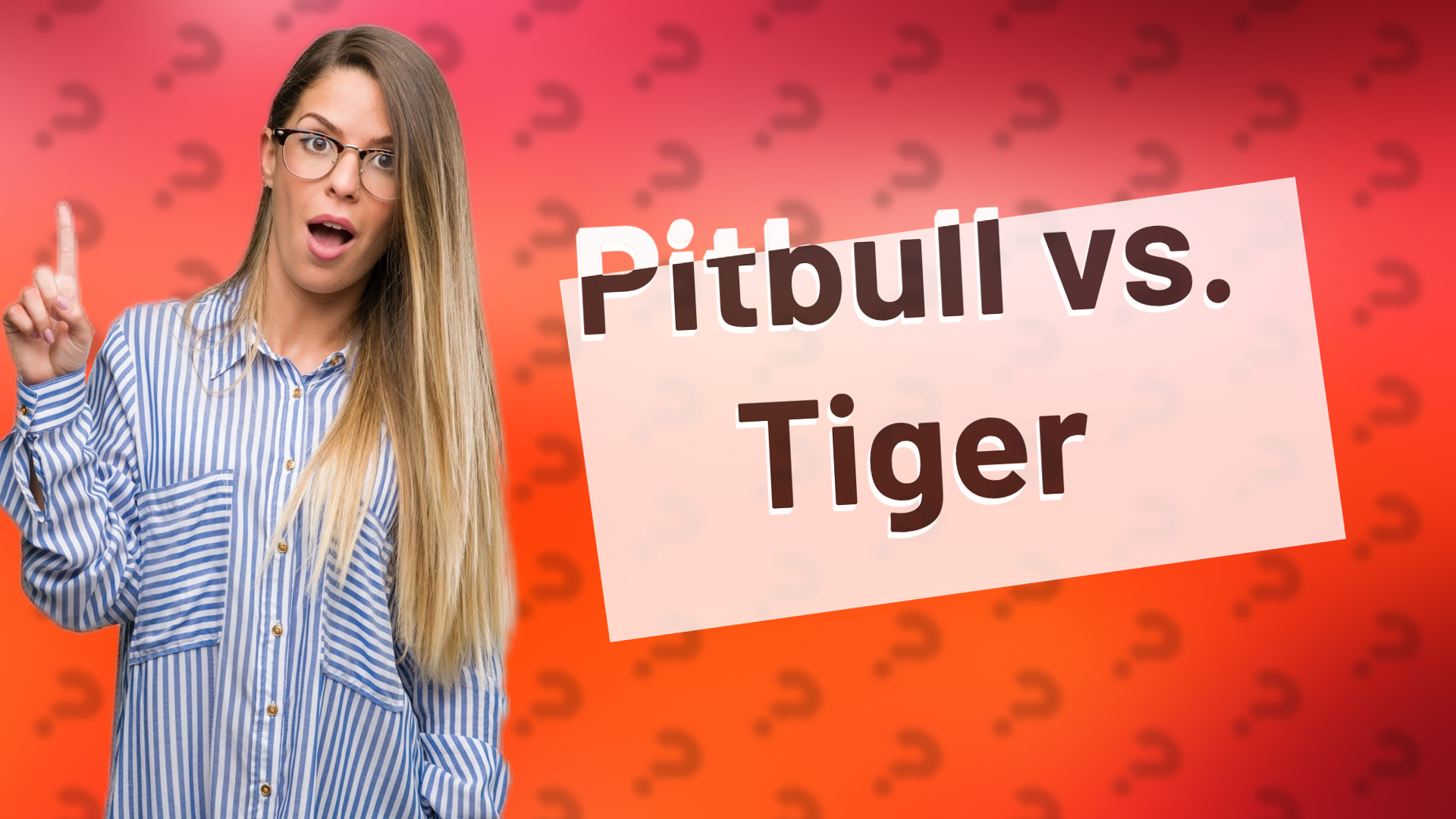Pitbull vs. Tiger
