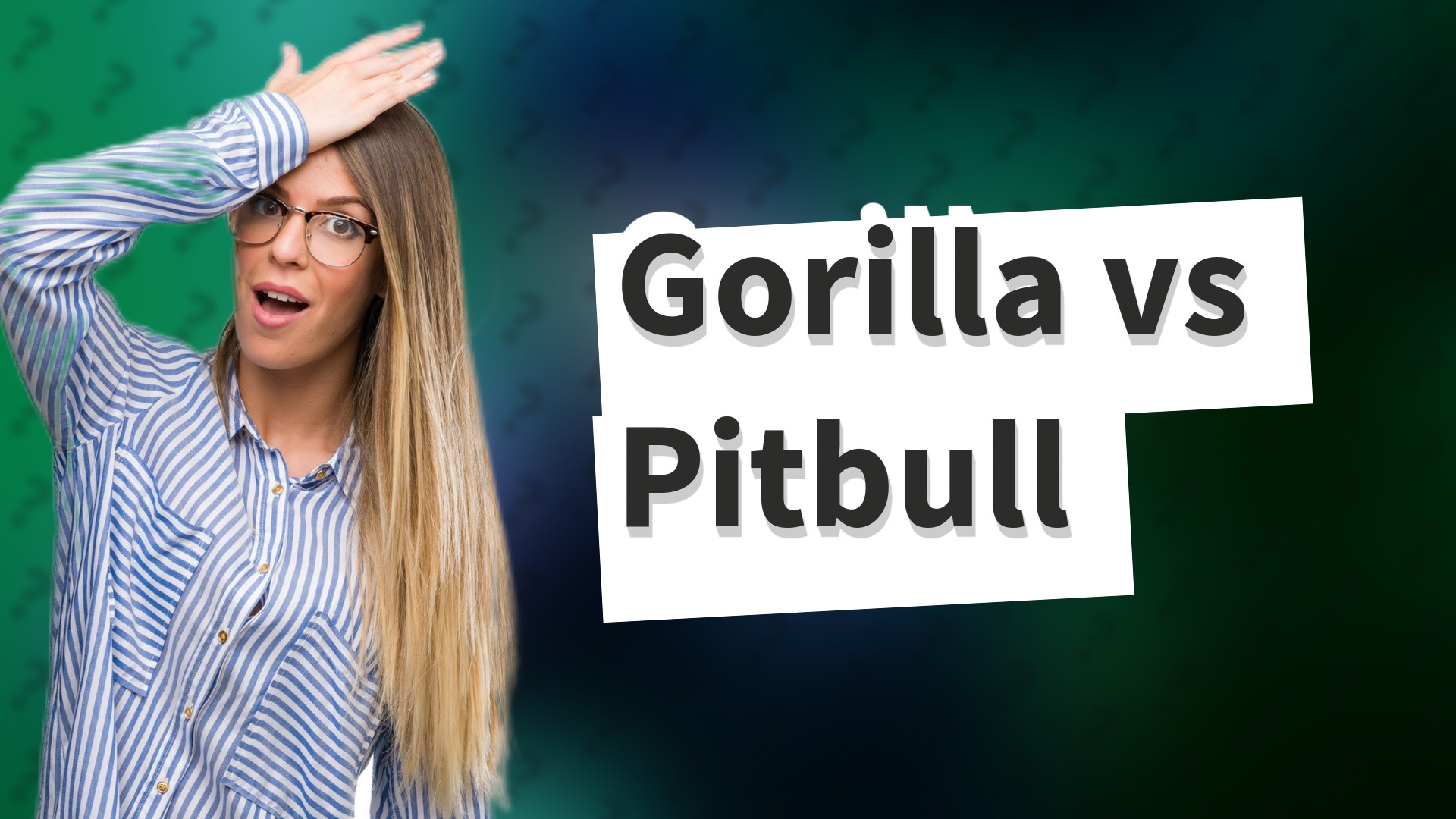Gorilla vs Pitbull