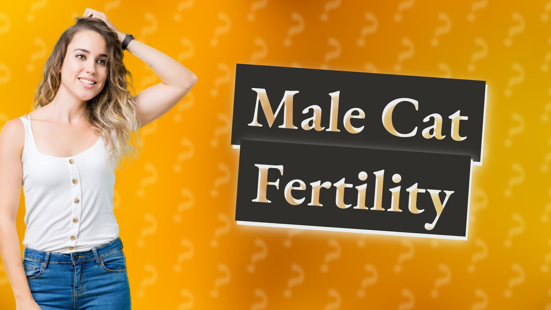 Male Cat Fertility