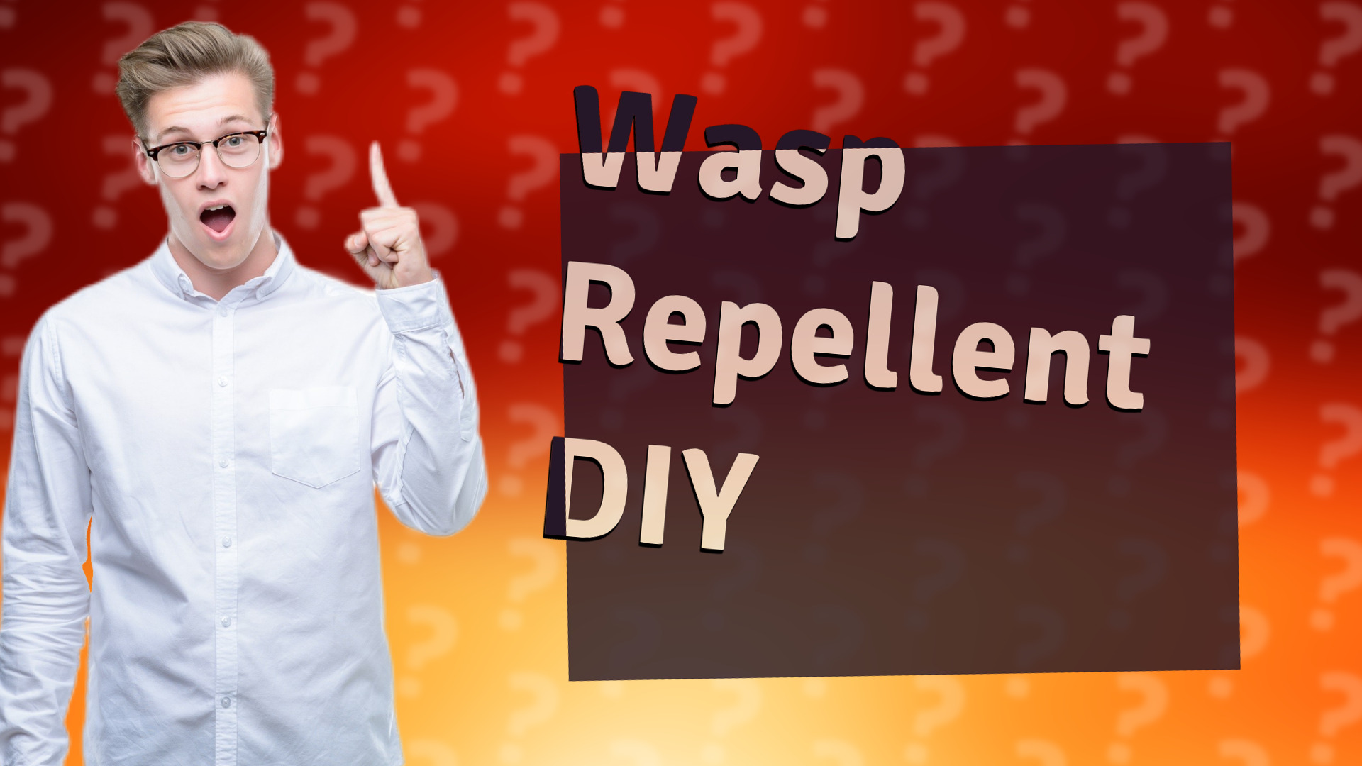 Wasp Repellent DIY