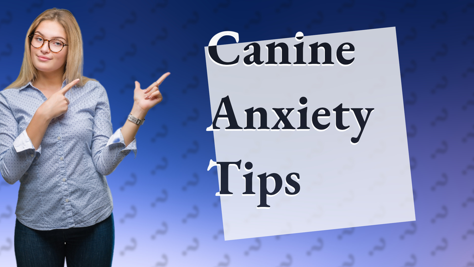 Canine Anxiety Tips