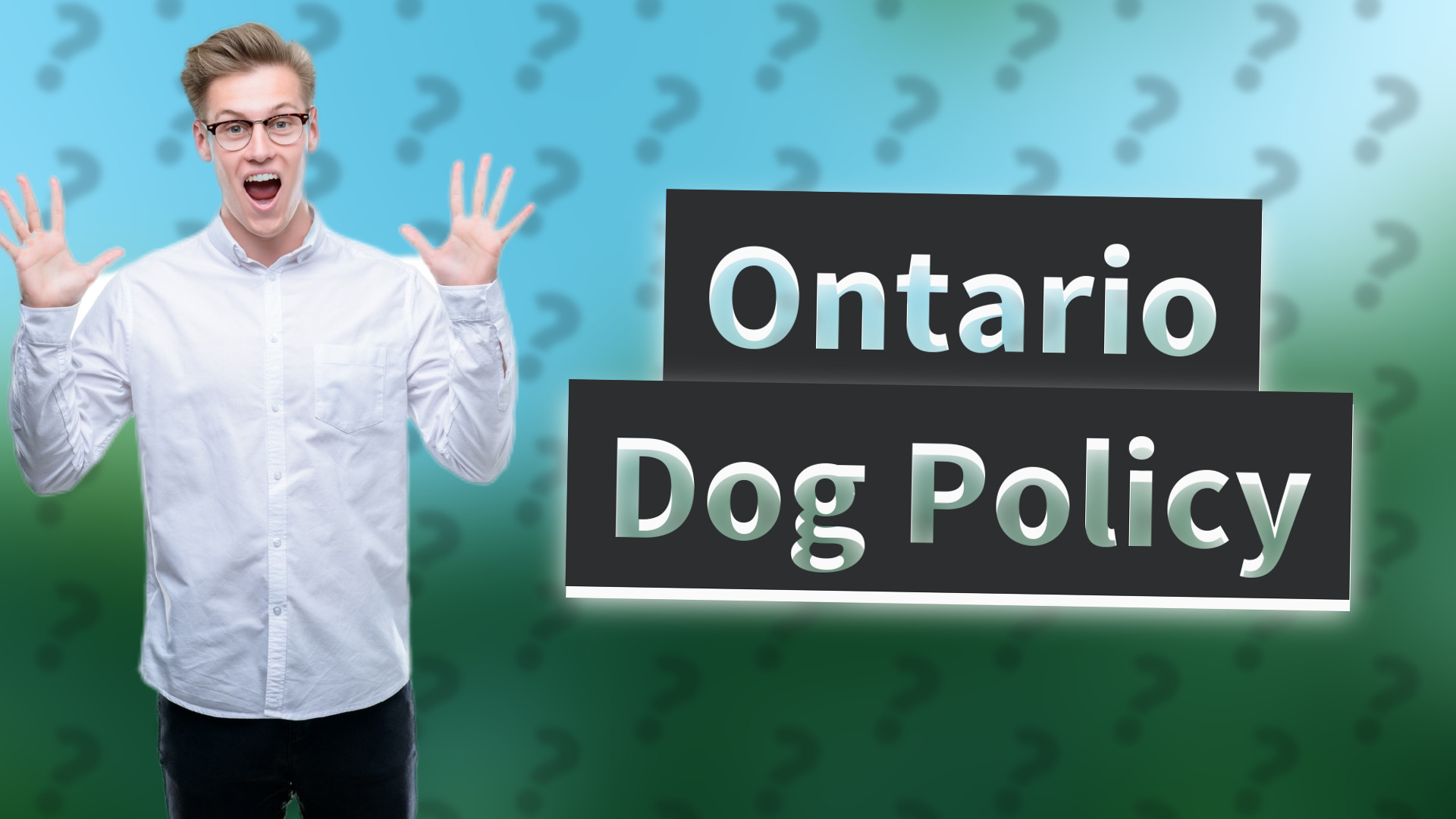 Ontario Dog Policy
