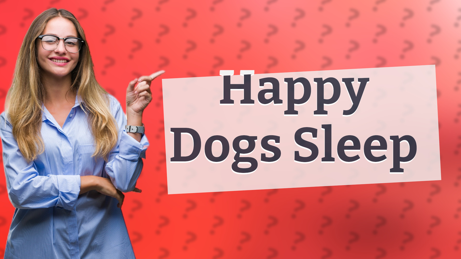 Happy Dogs Sleep