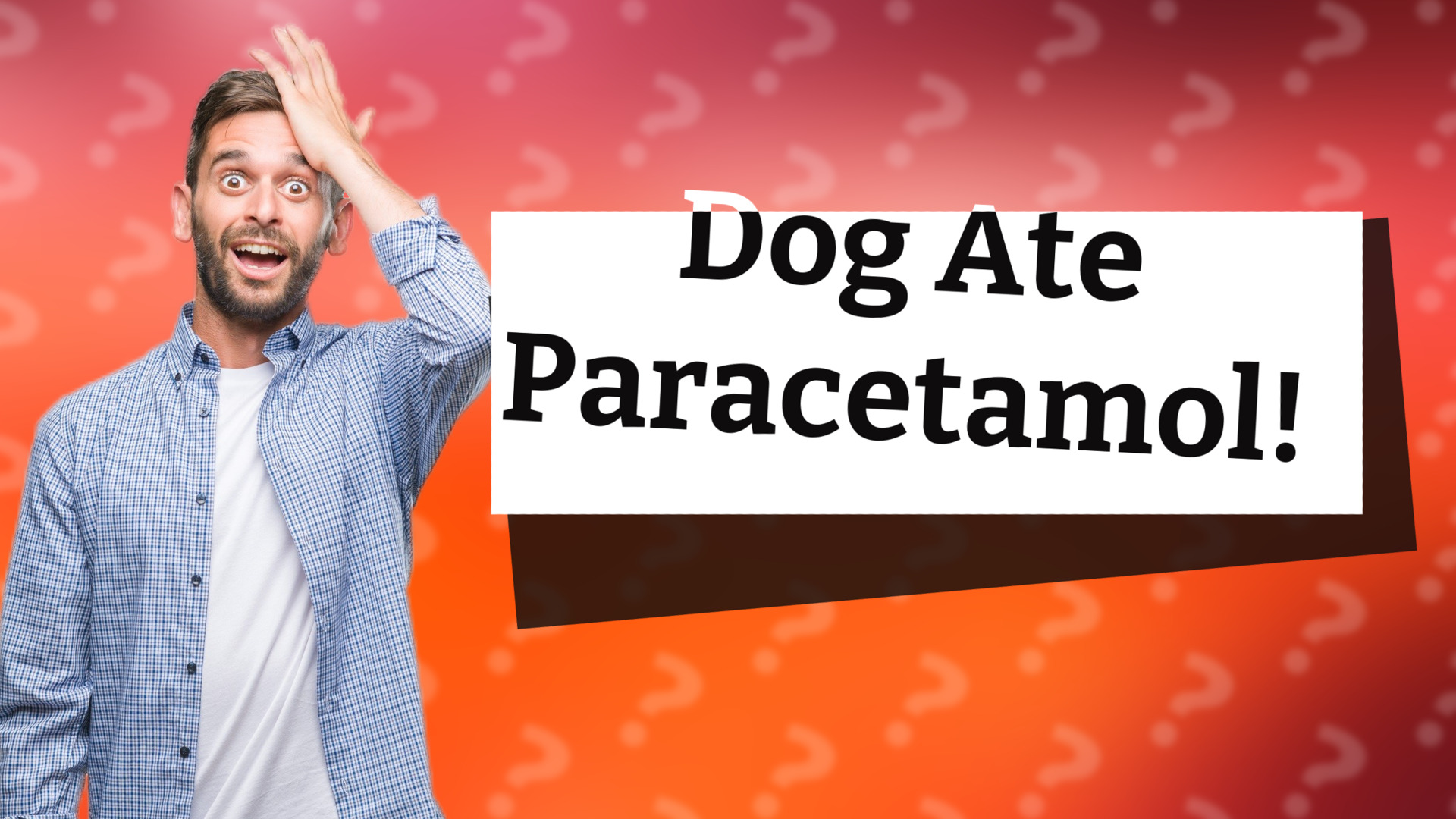 Dog Ate Paracetamol!