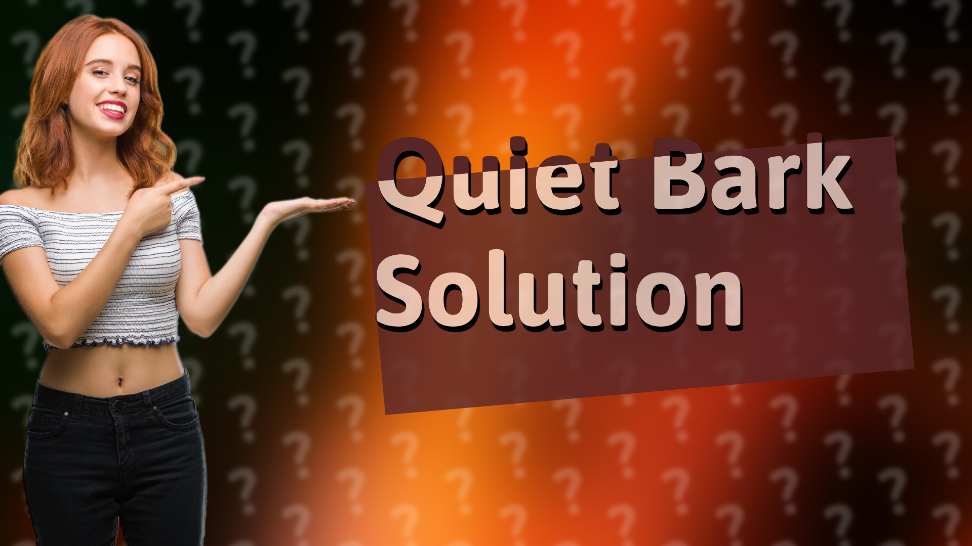 Quiet Bark Solution