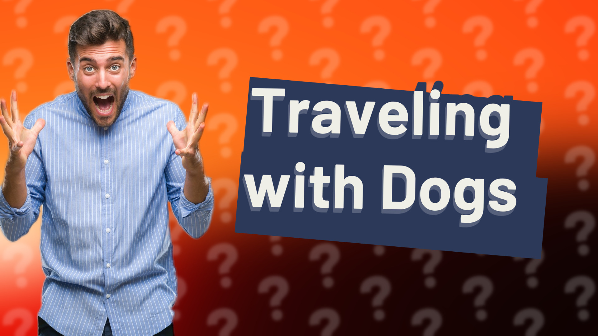Traveling with Dogs
