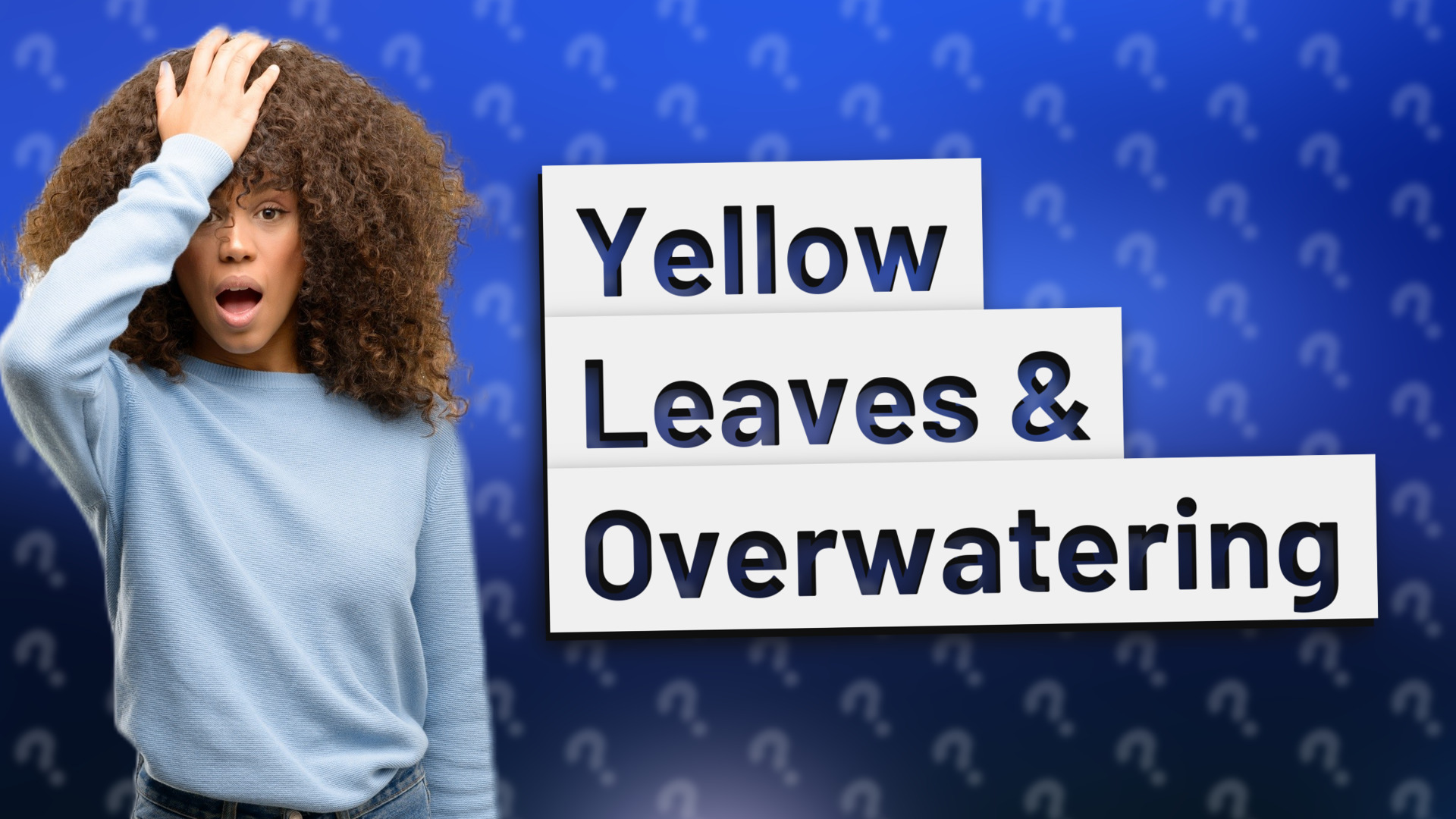 Yellow Leaves & Overwatering