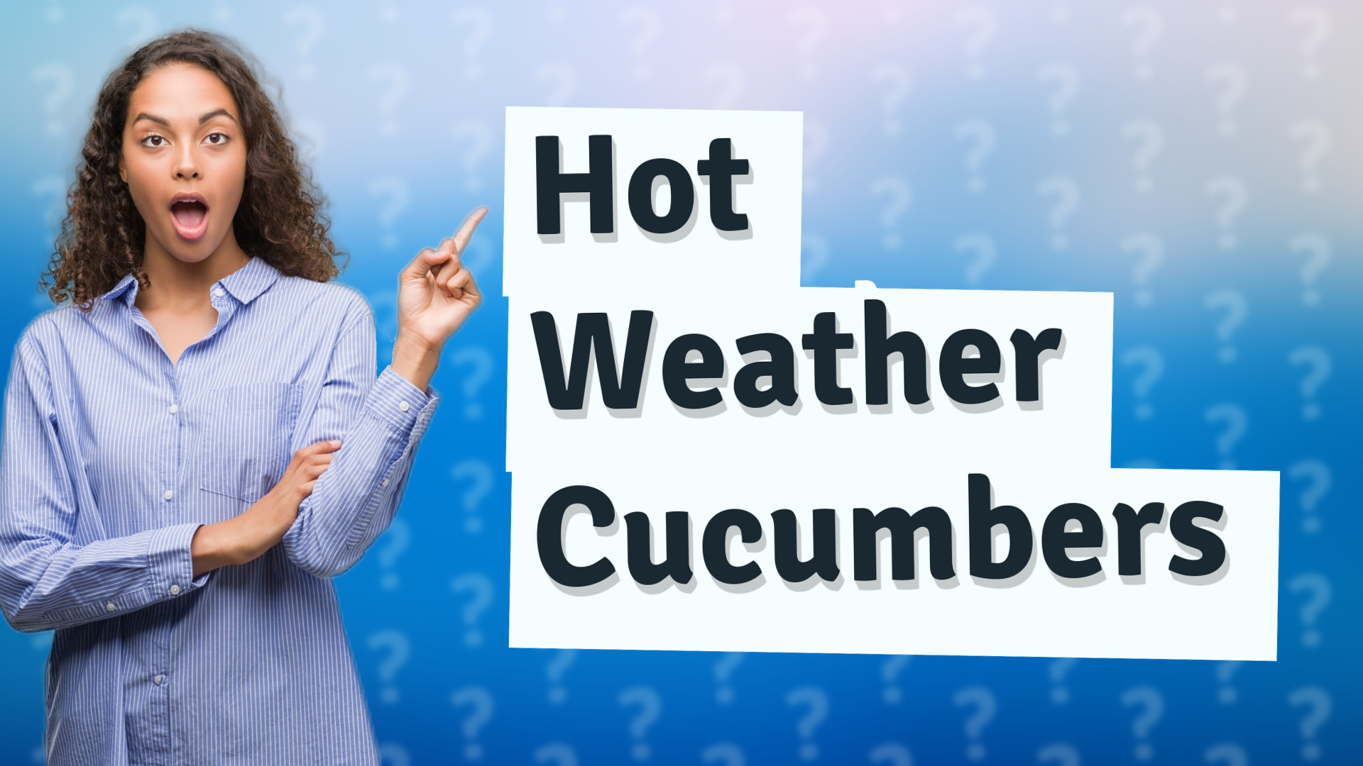 Hot Weather Cucumbers