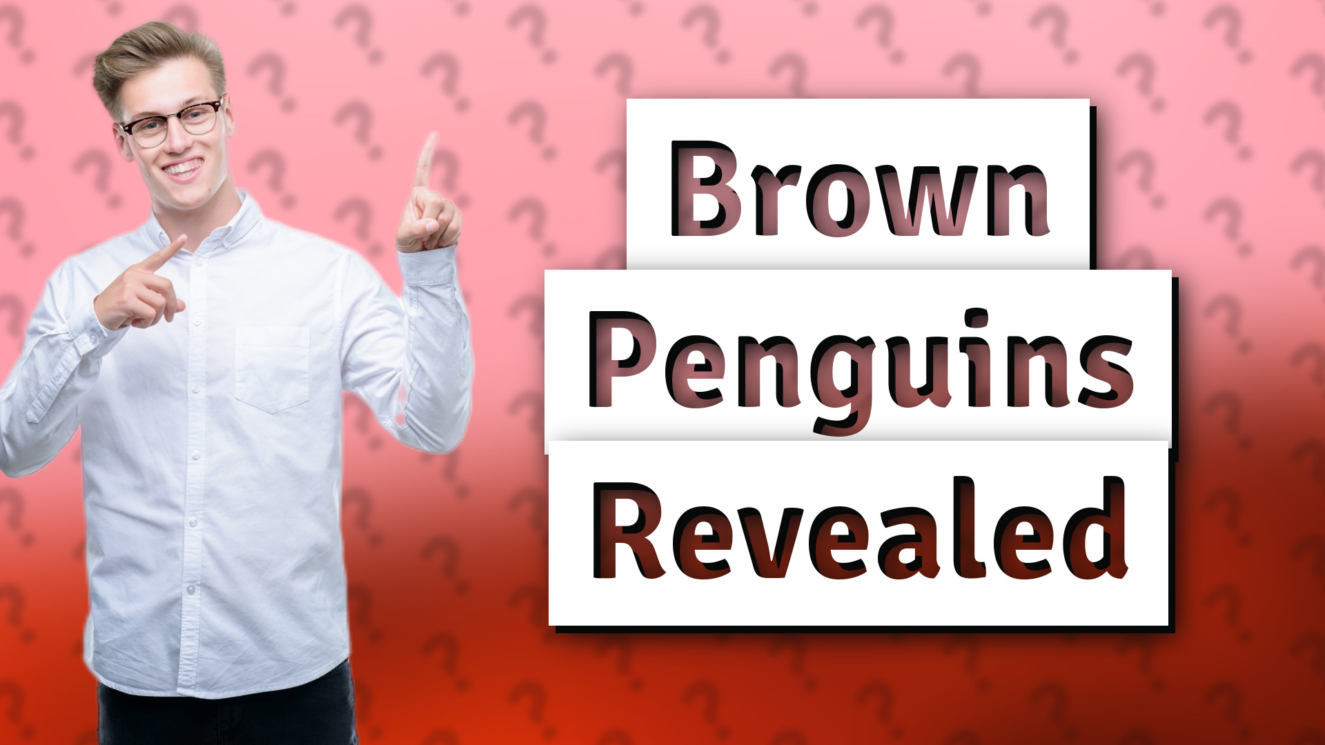 Brown Penguins Revealed