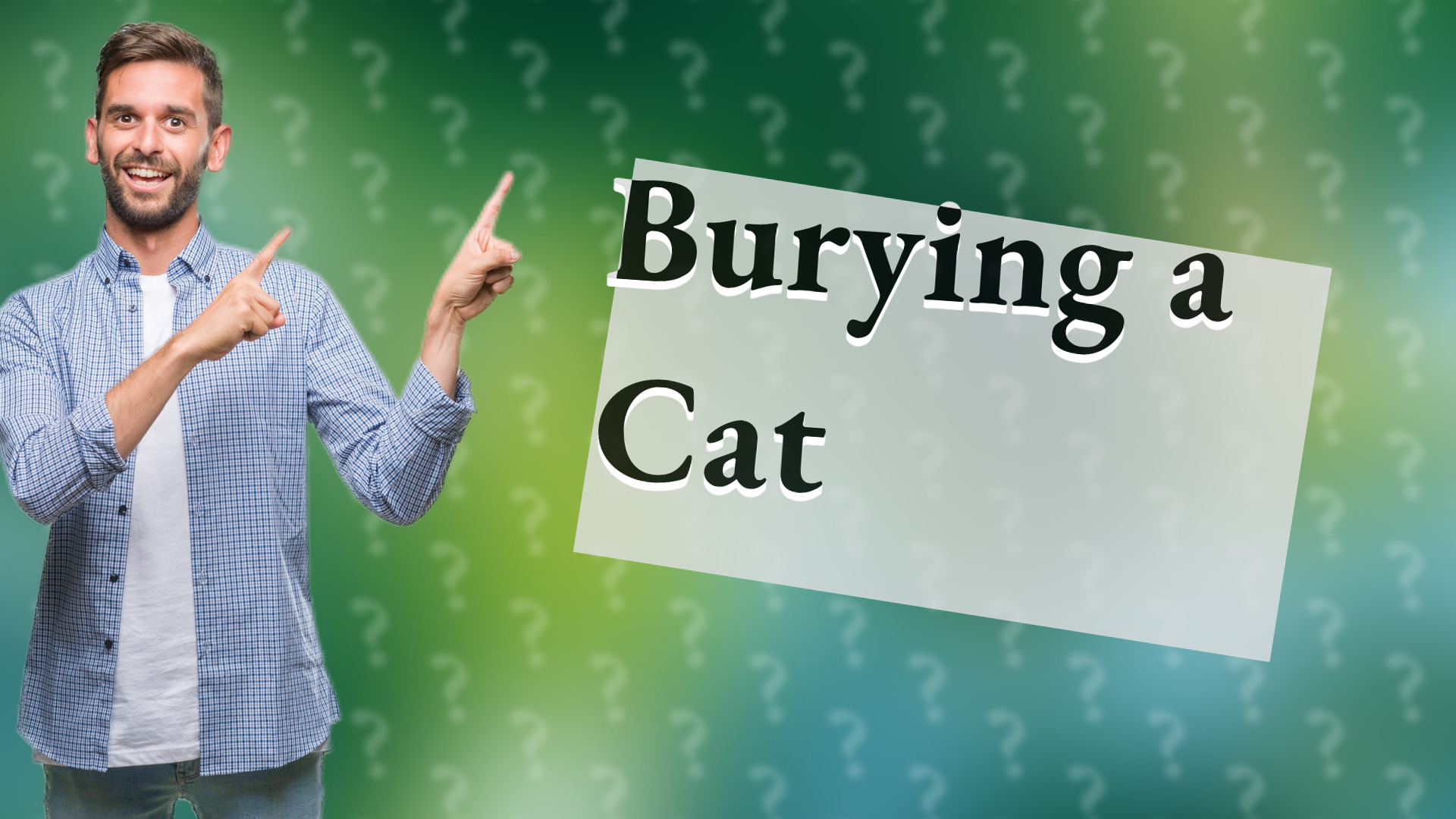 Burying a Cat