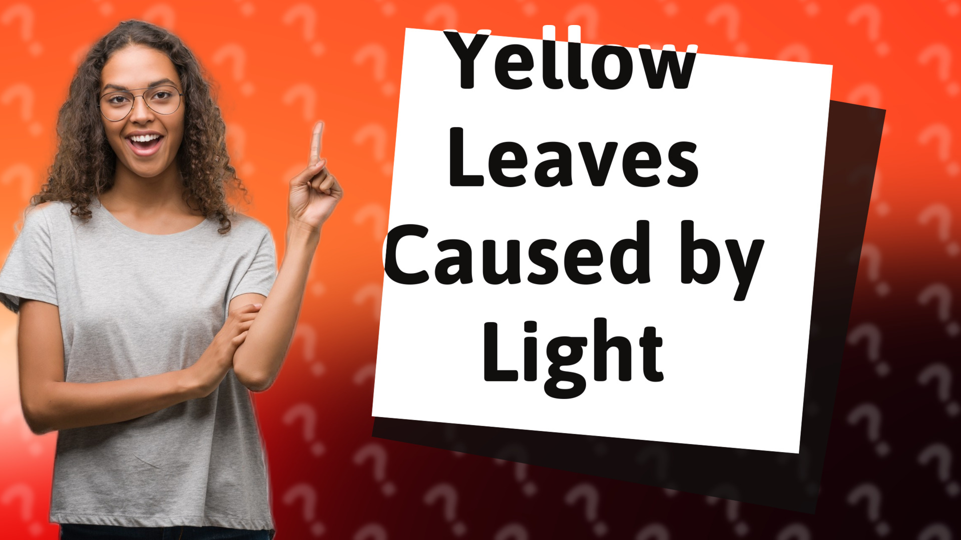 Yellow Leaves Caused by Light