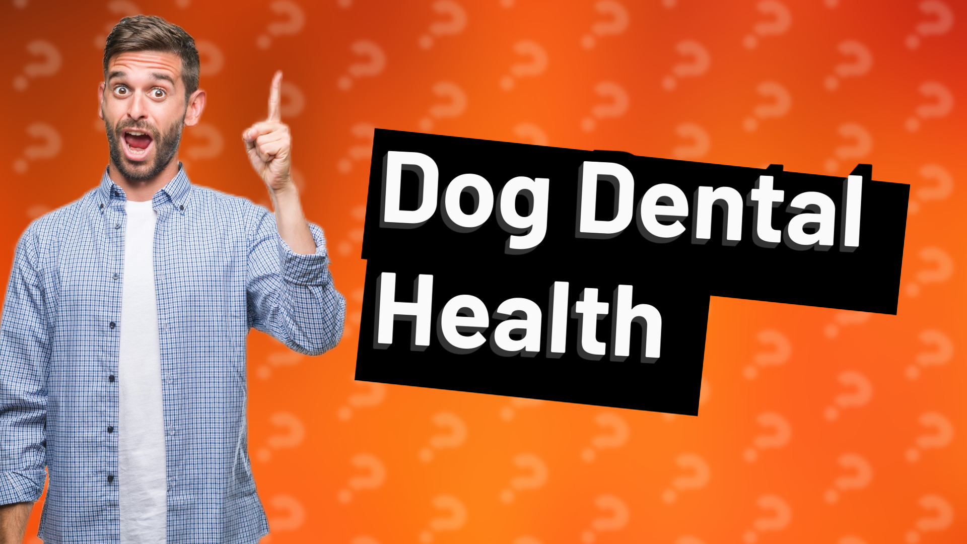 Dog Dental Health