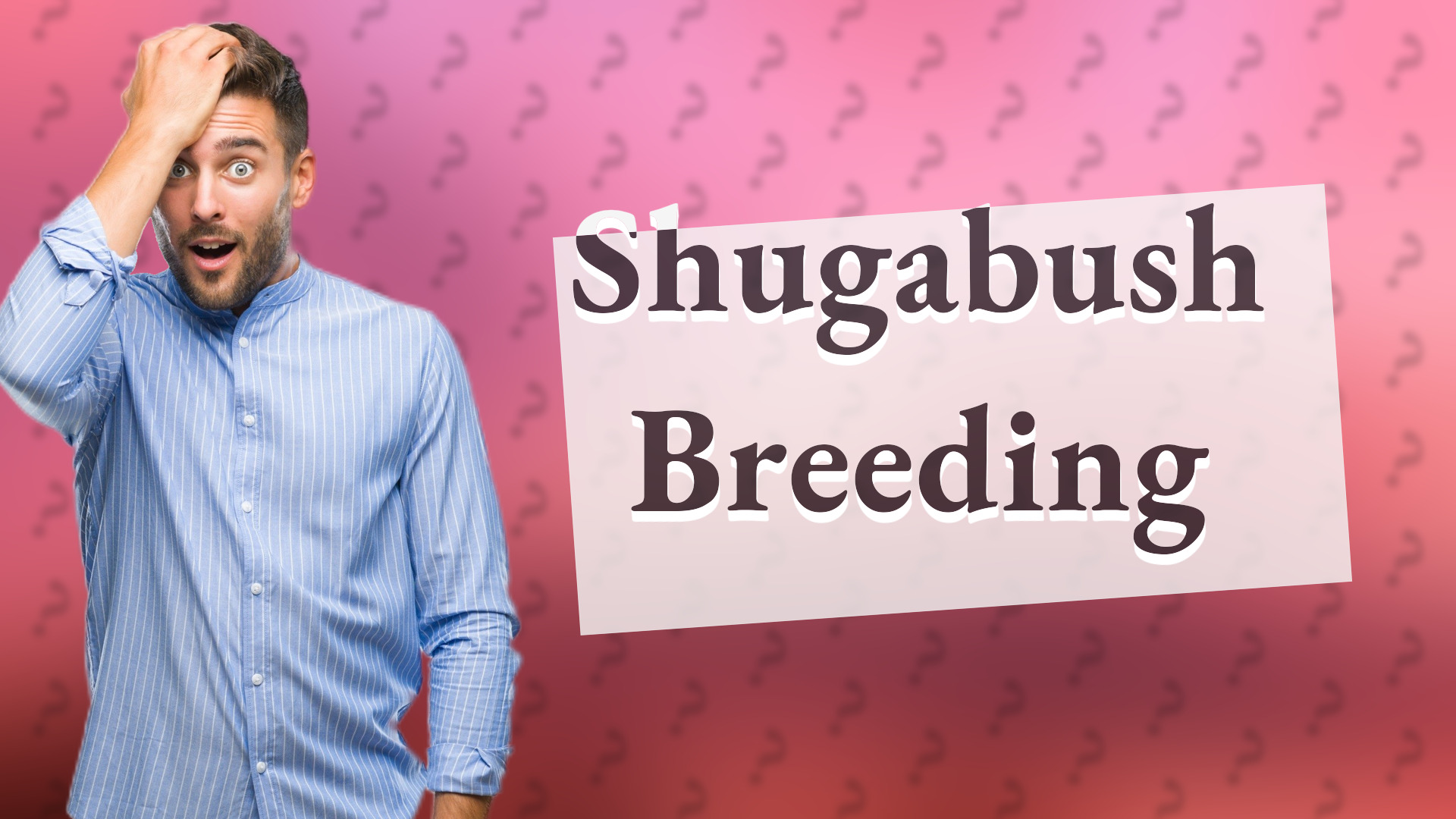 Shugabush Breeding