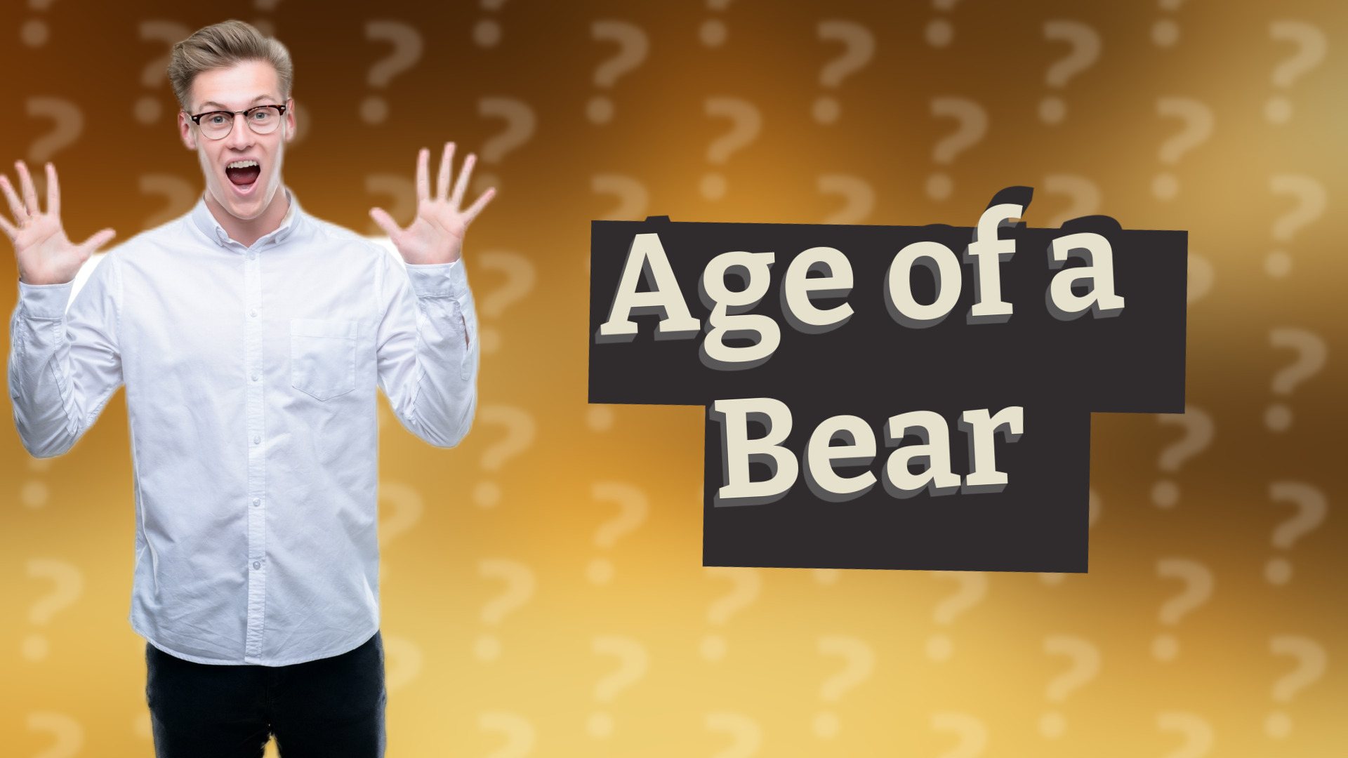 Age of a Bear