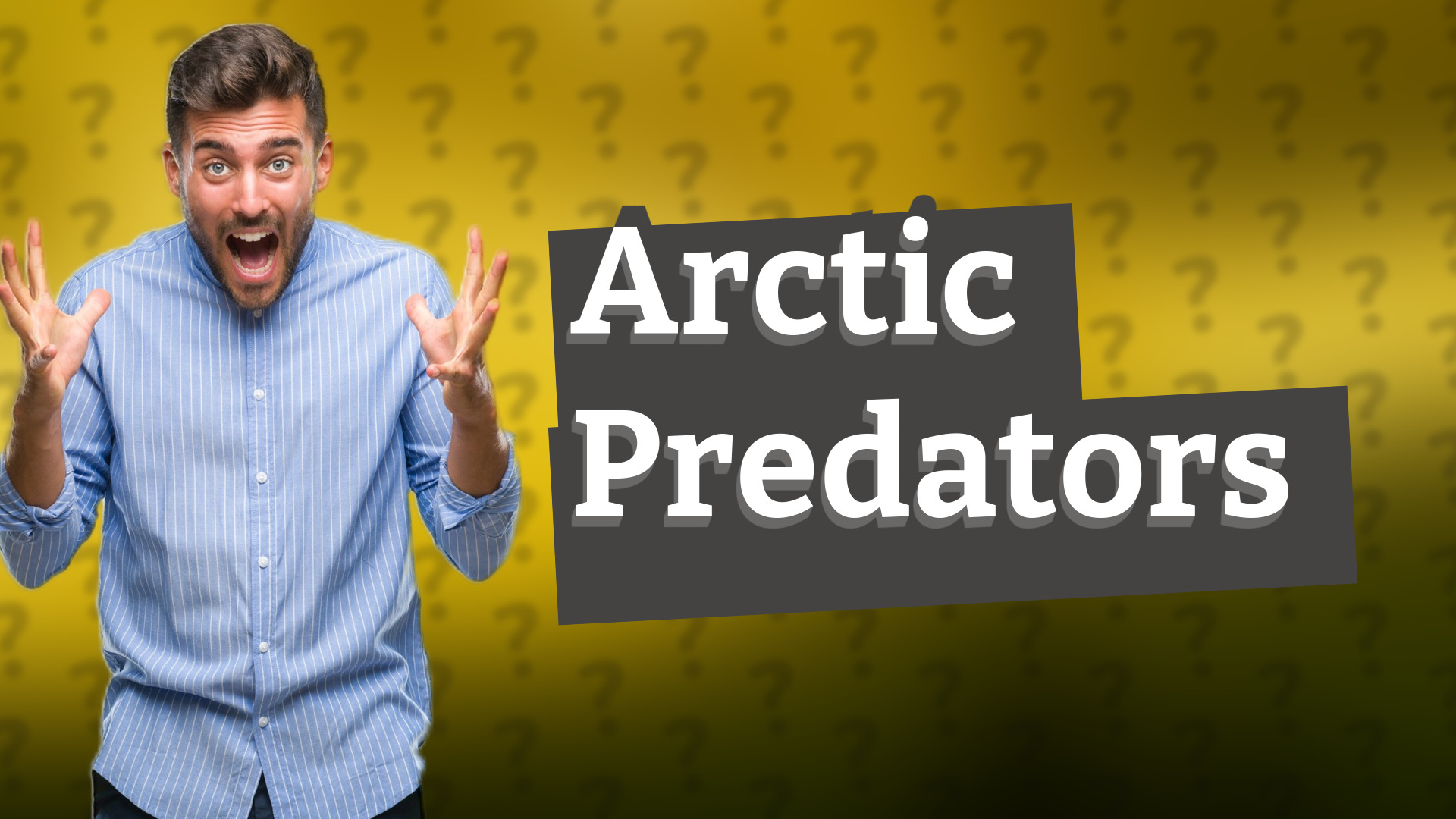 Arctic Predators
