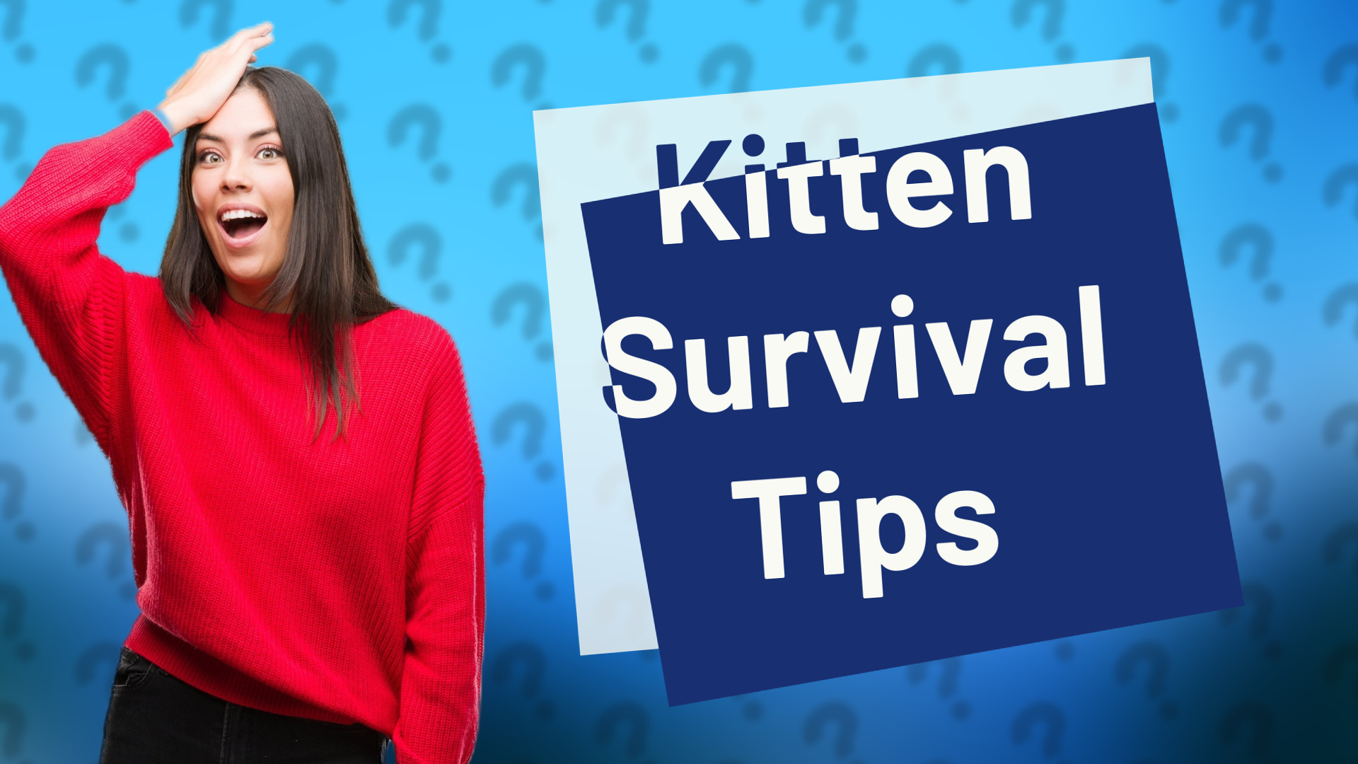 Kitten Survival Tips