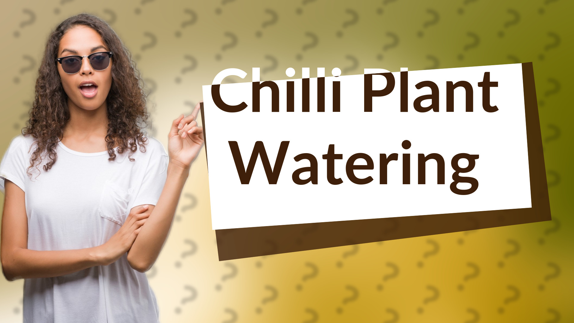 Chilli Plant Watering