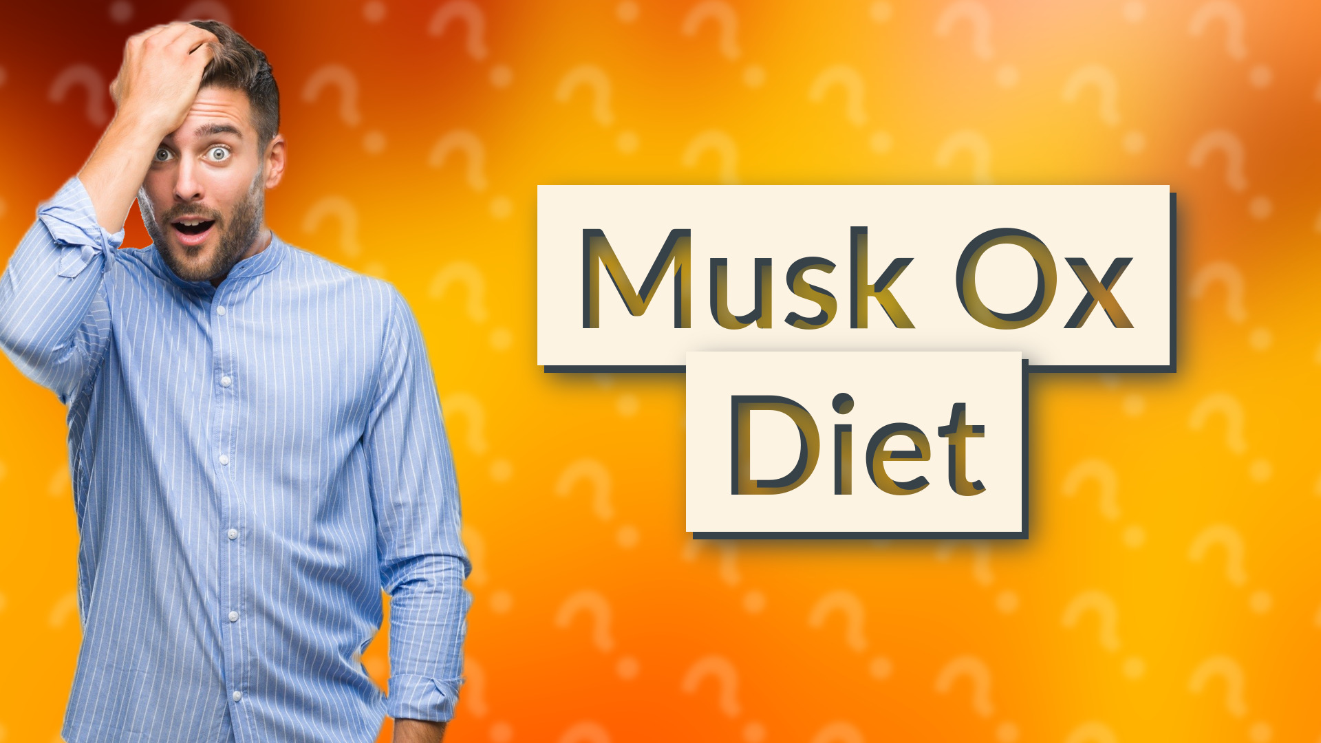 Musk Ox Diet