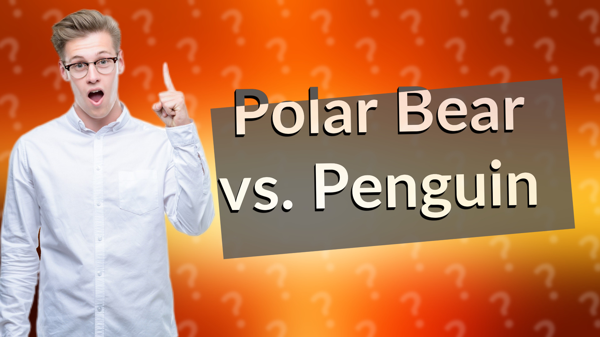 Polar Bear vs. Penguin