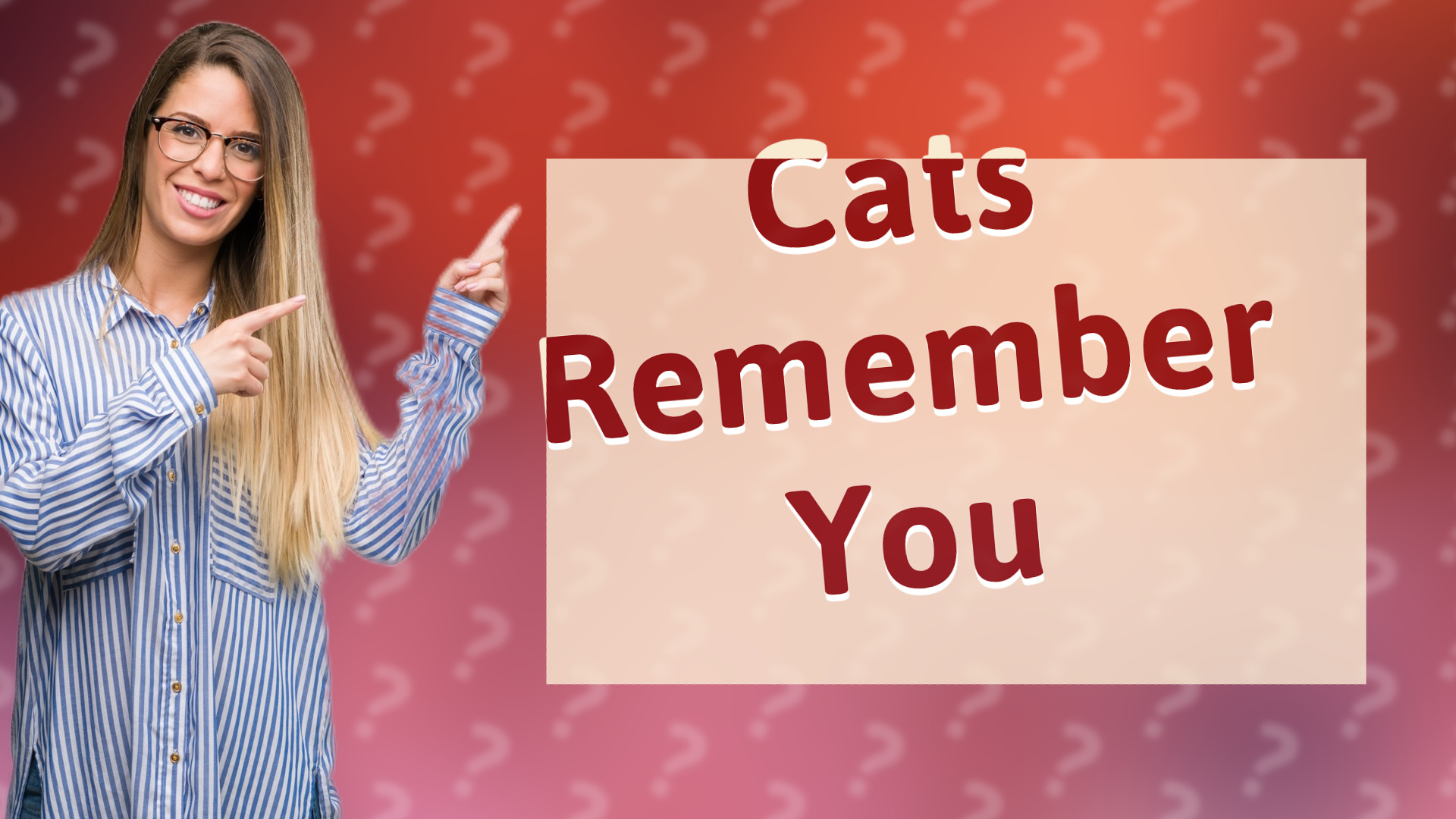 Cats Remember You