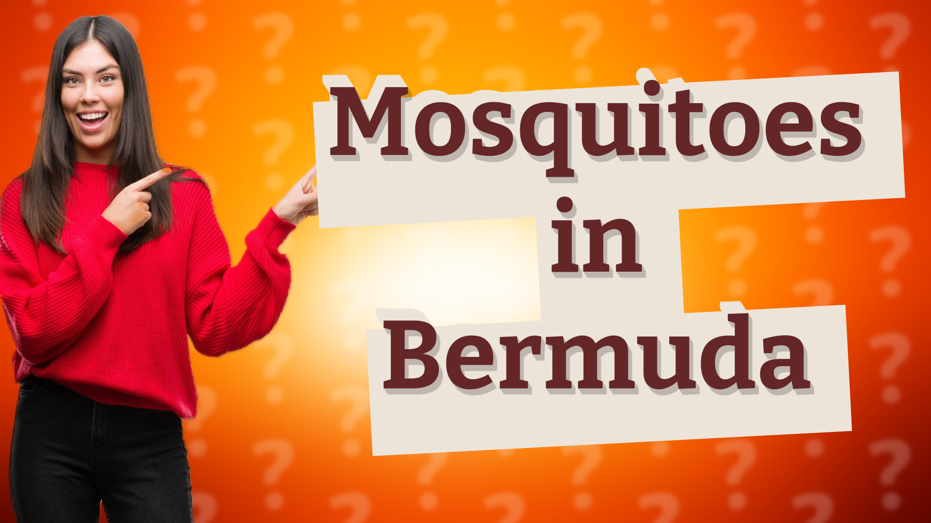 Mosquitoes in Bermuda