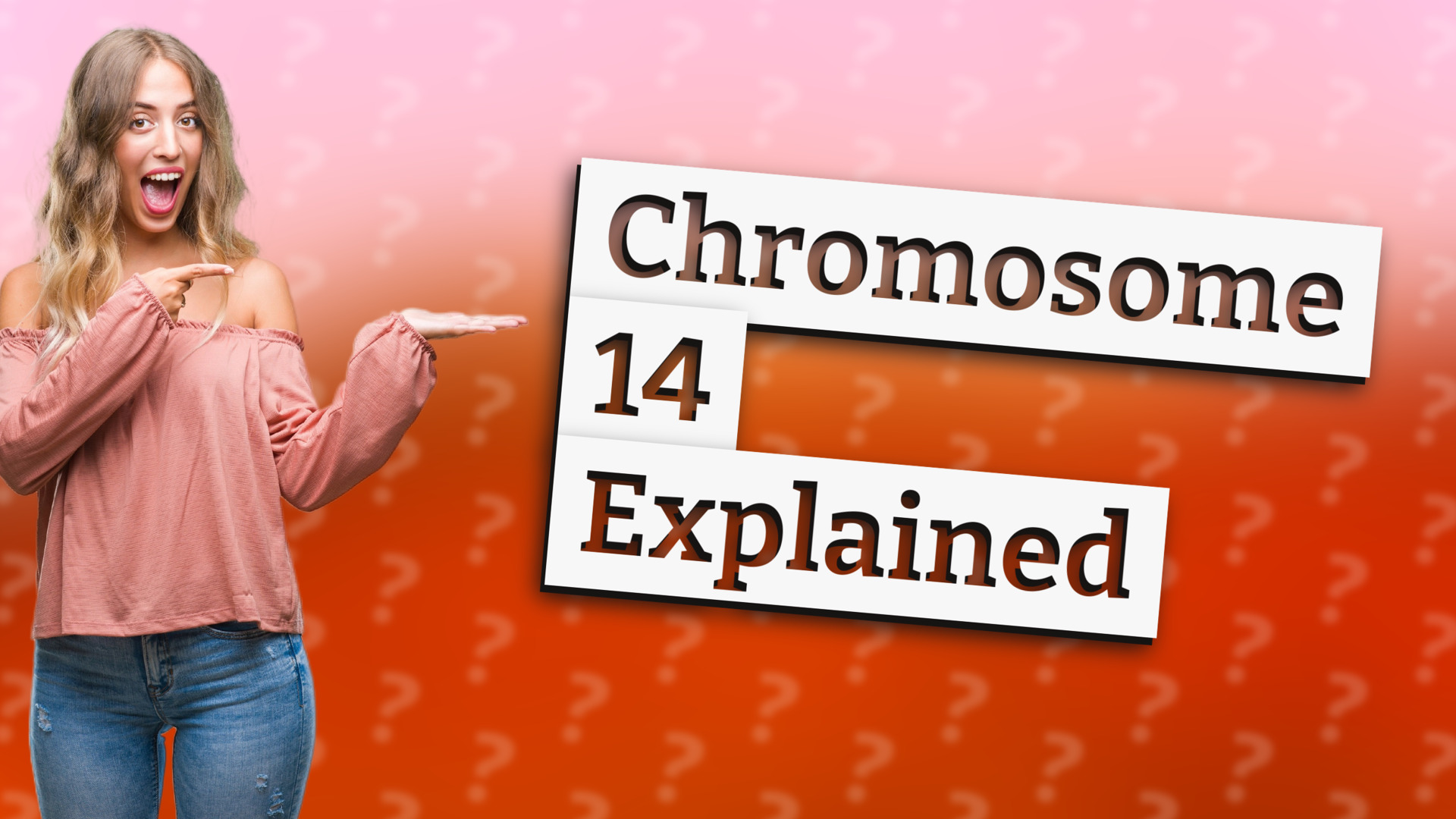 Chromosome 14 Explained