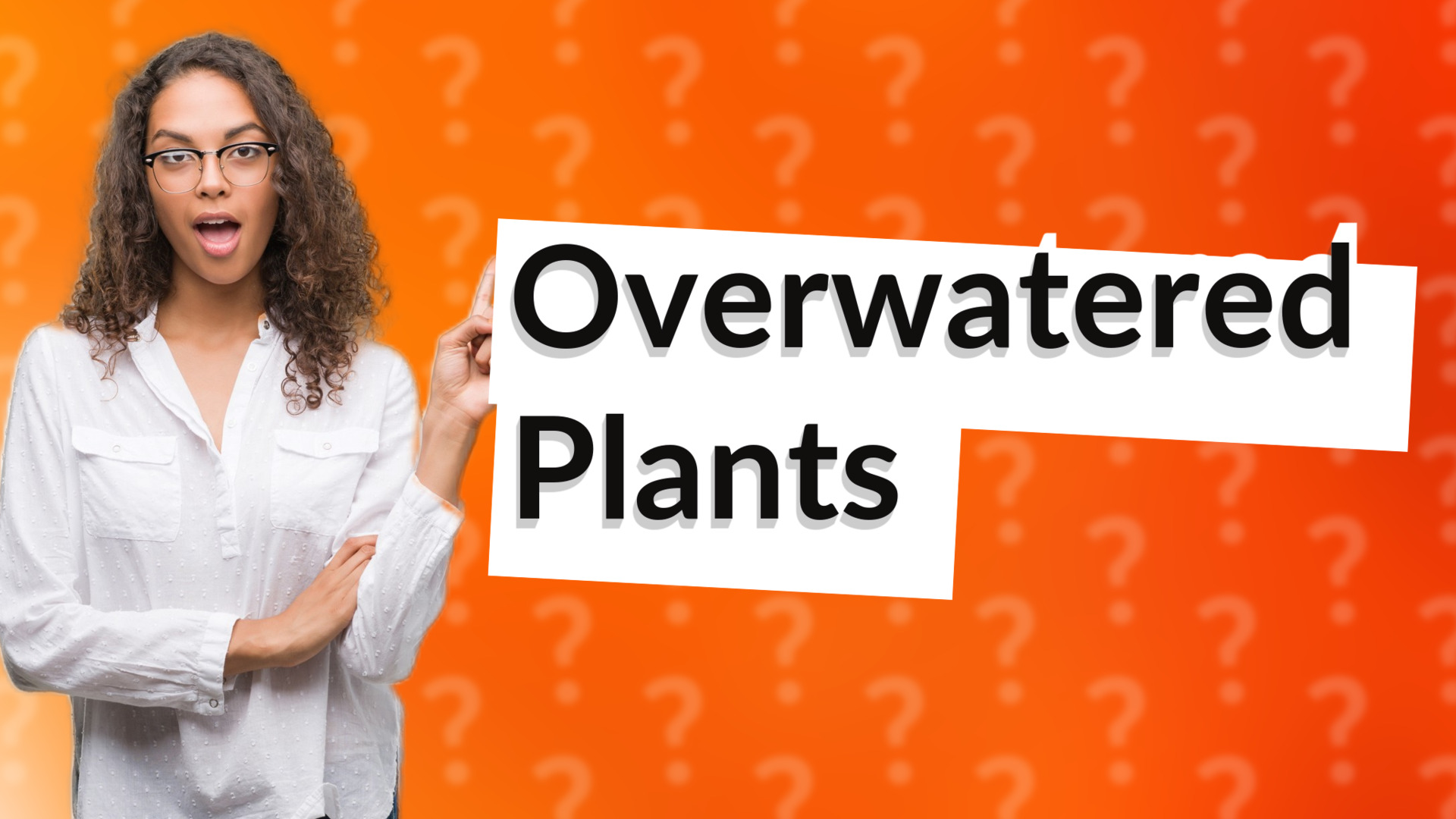 Overwatered Plants