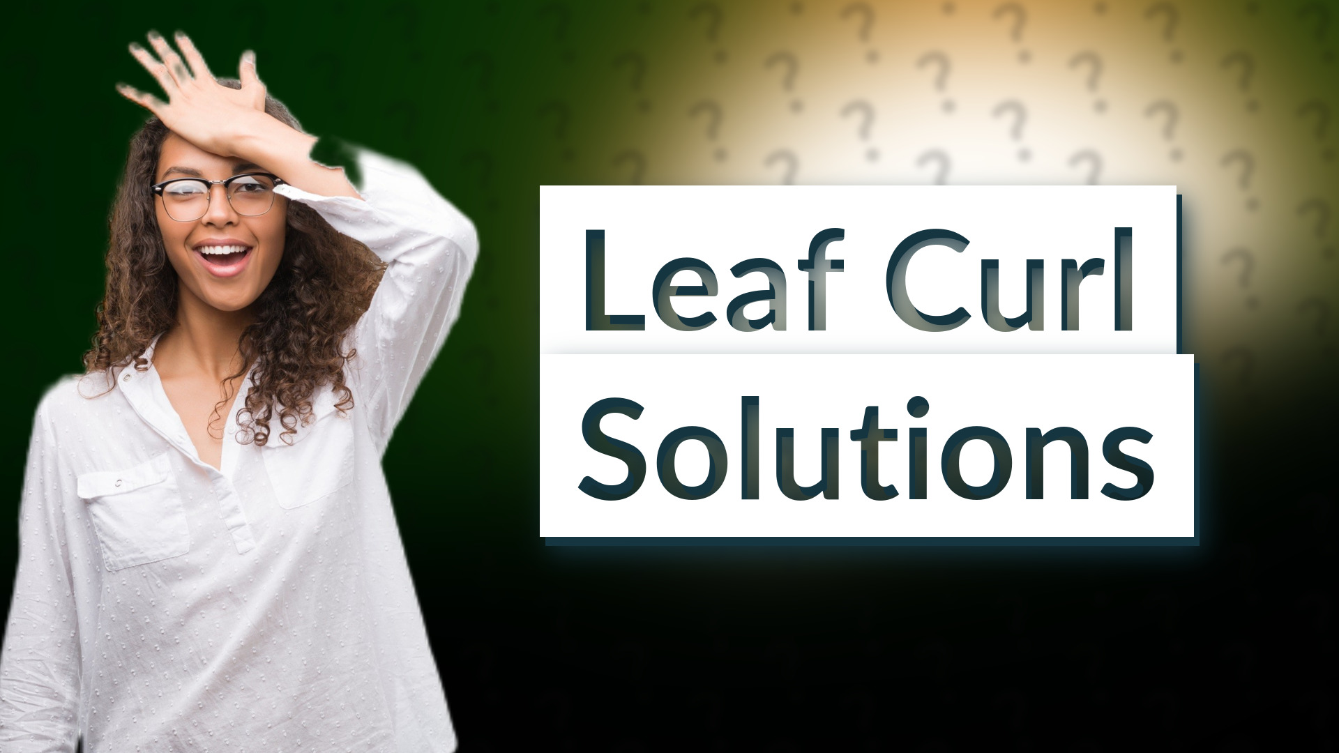 Leaf Curl Solutions