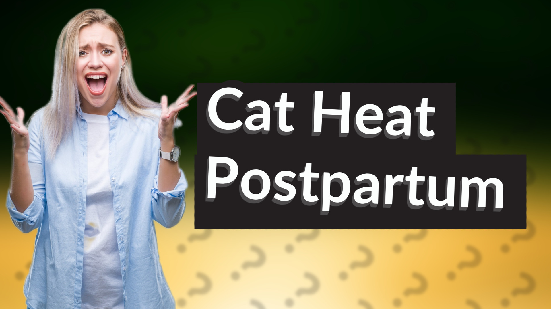 Cat Heat Postpartum