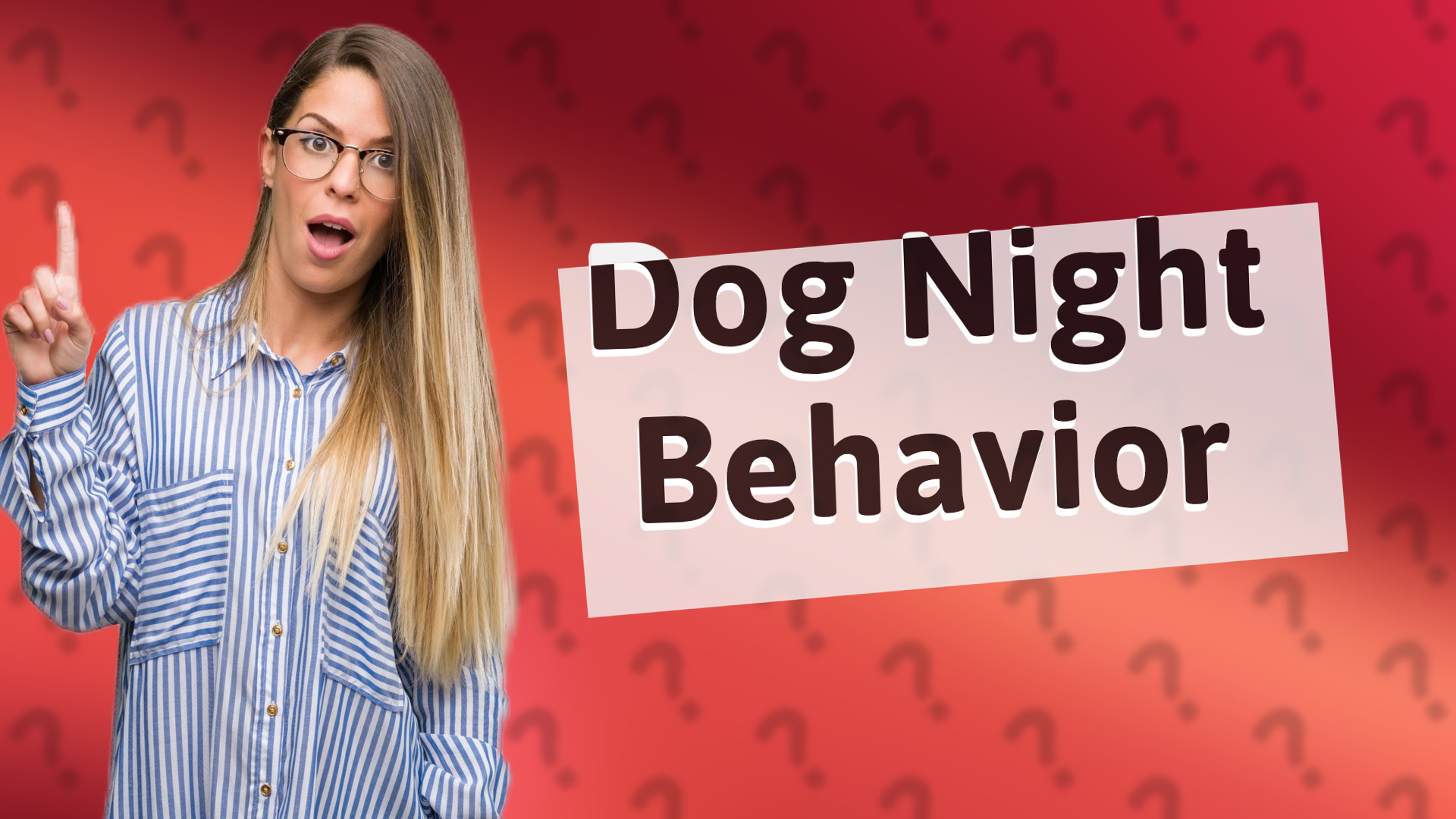 Dog Night Behavior